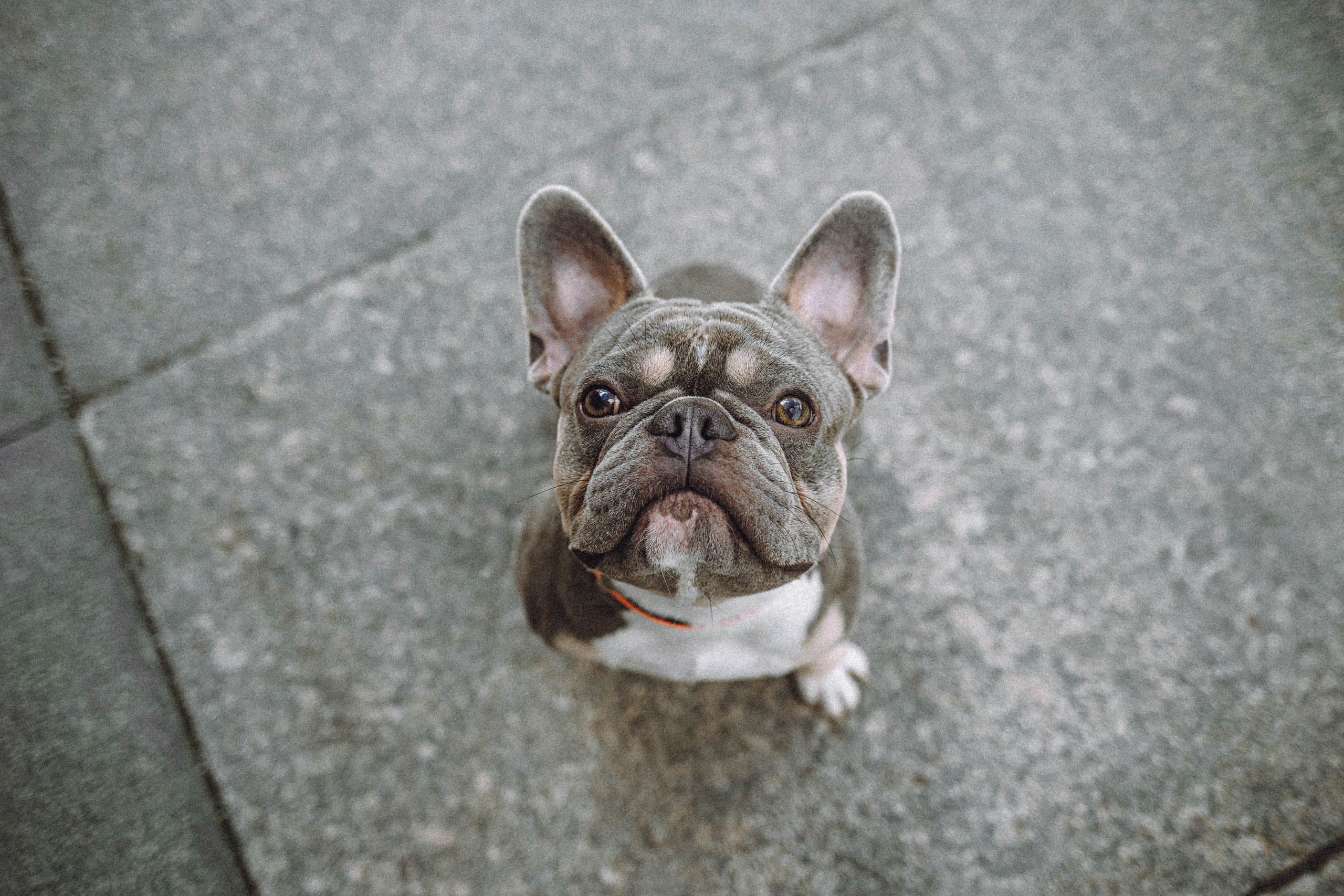 Регина, Сережа и Шелдон