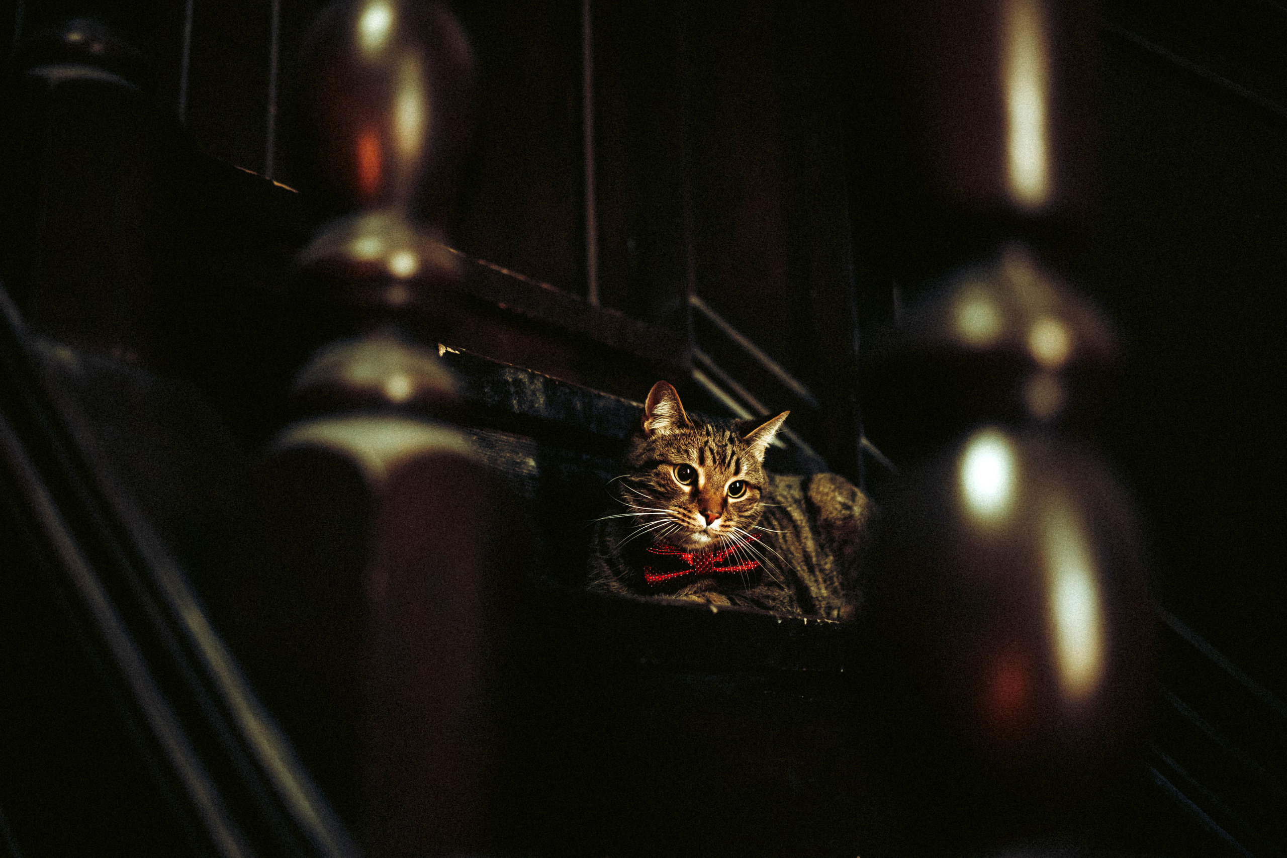 Вика, Вова и Клепа