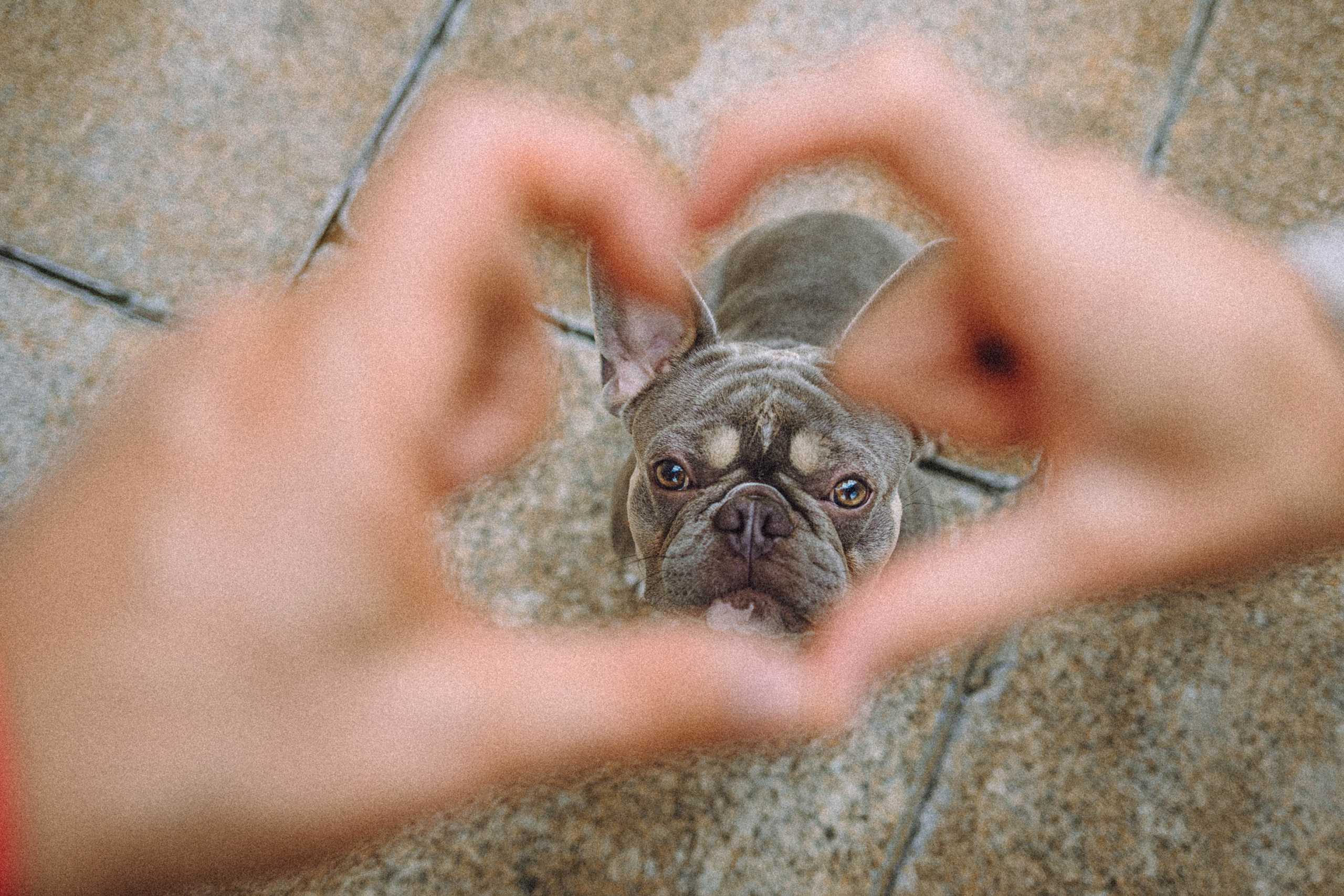 Регина, Сережа и Шелдон