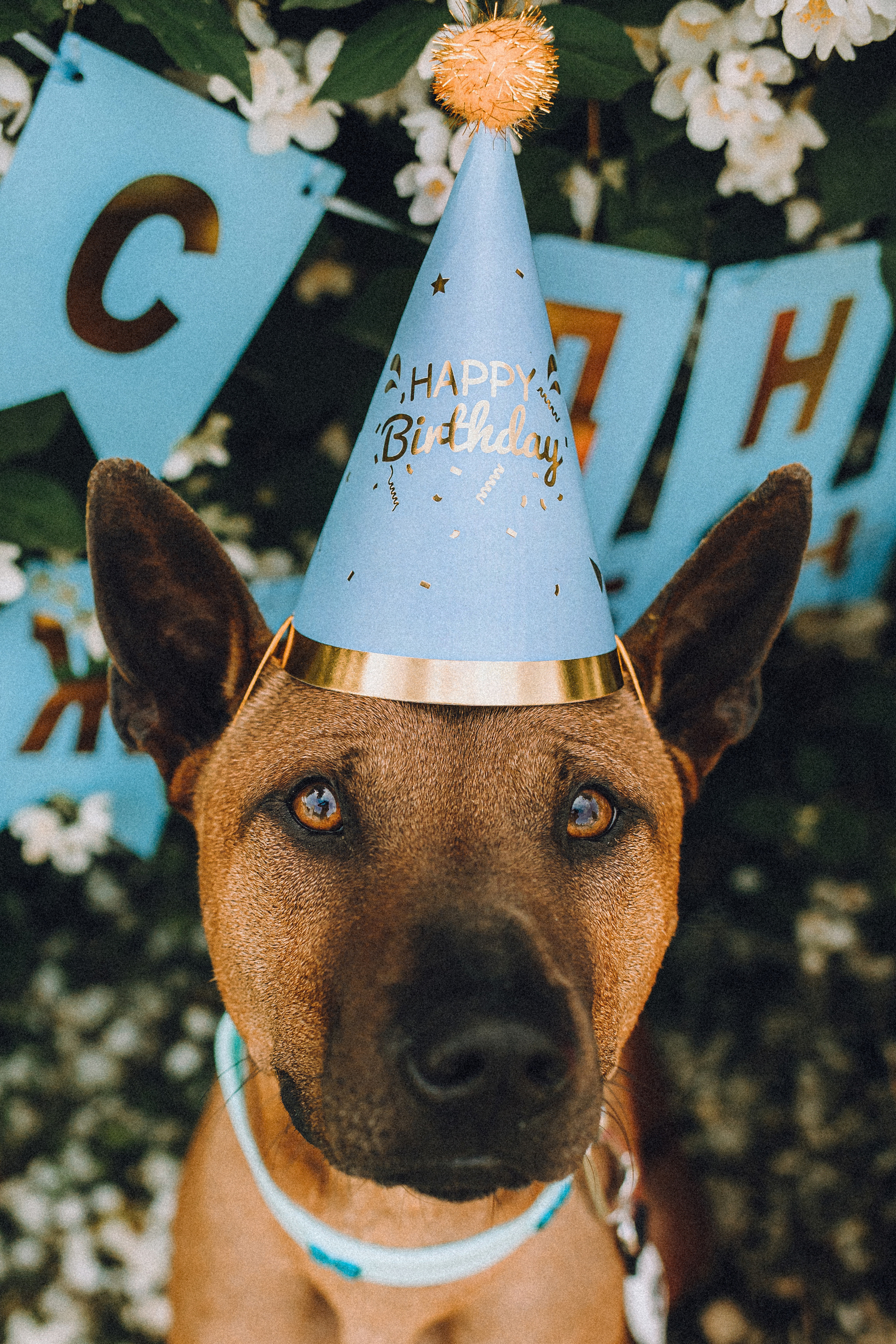 Оксана и Зевс