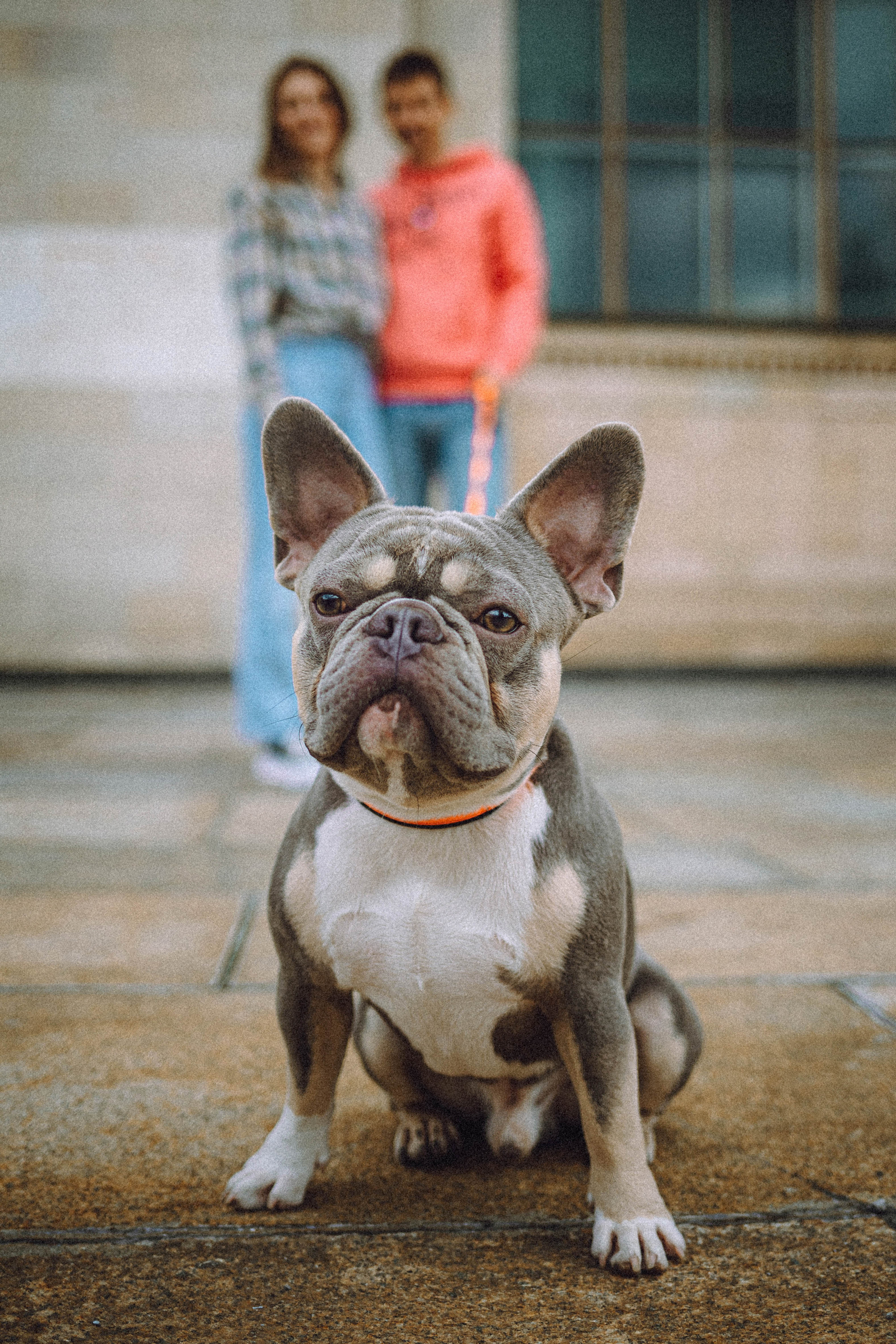 Регина, Сережа и Шелдон