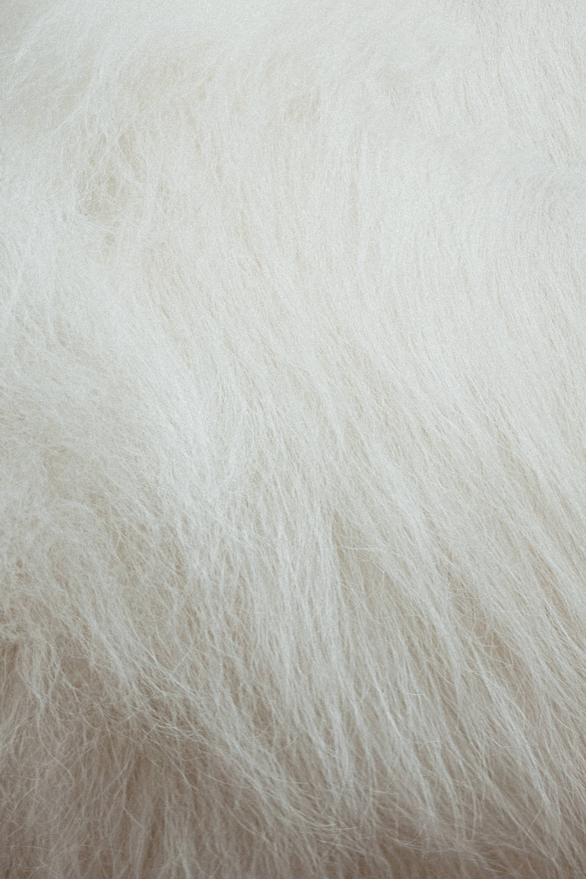 Вика и Балу