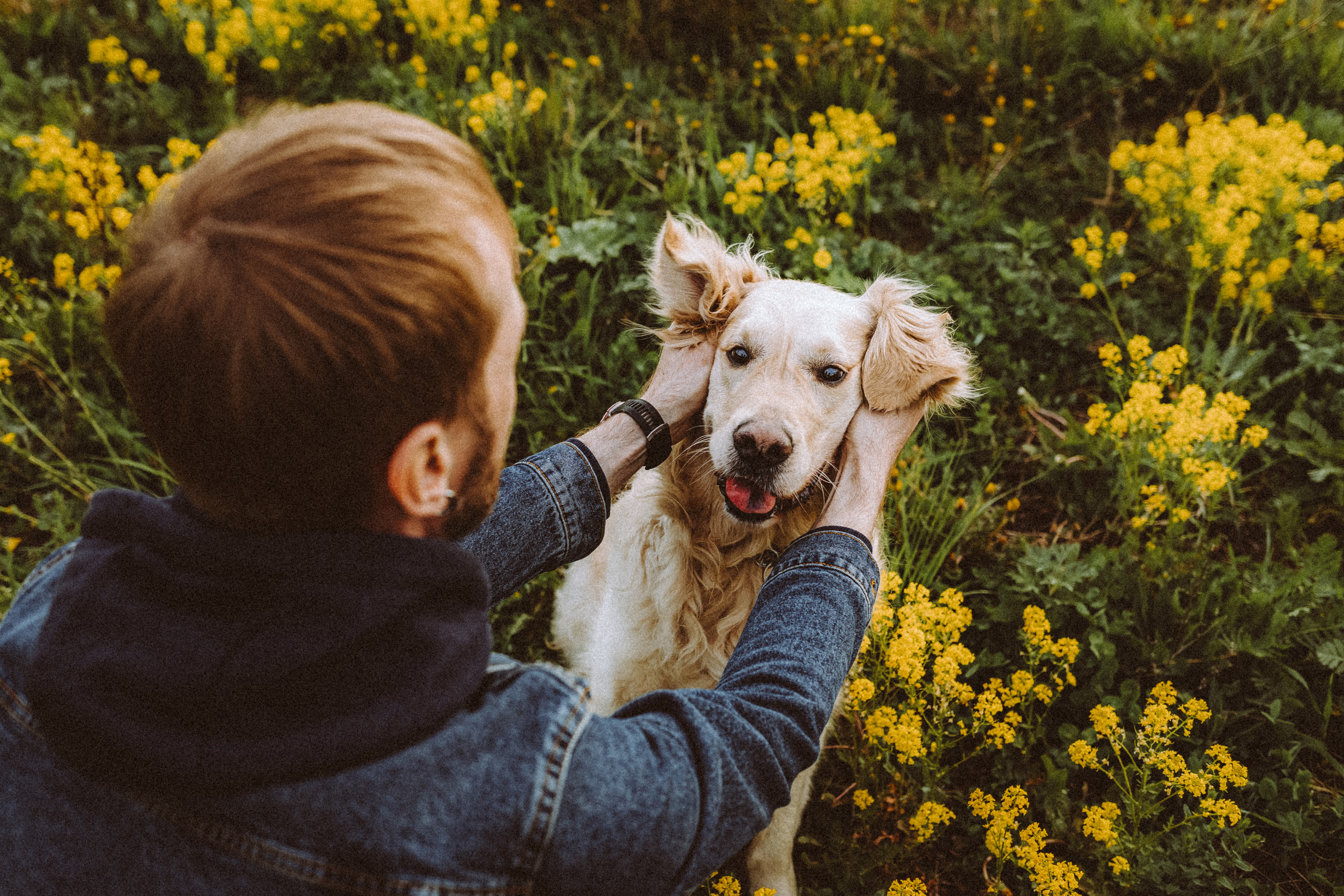Джаз, Остин и их семья