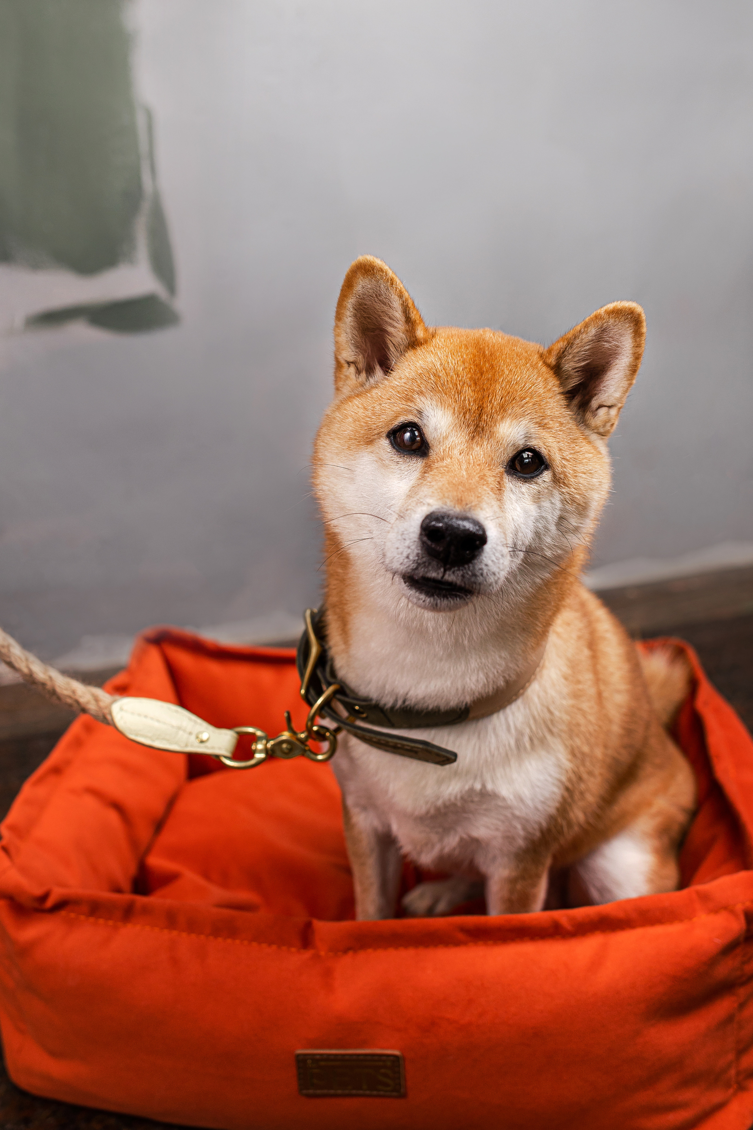 Съемка для MGM