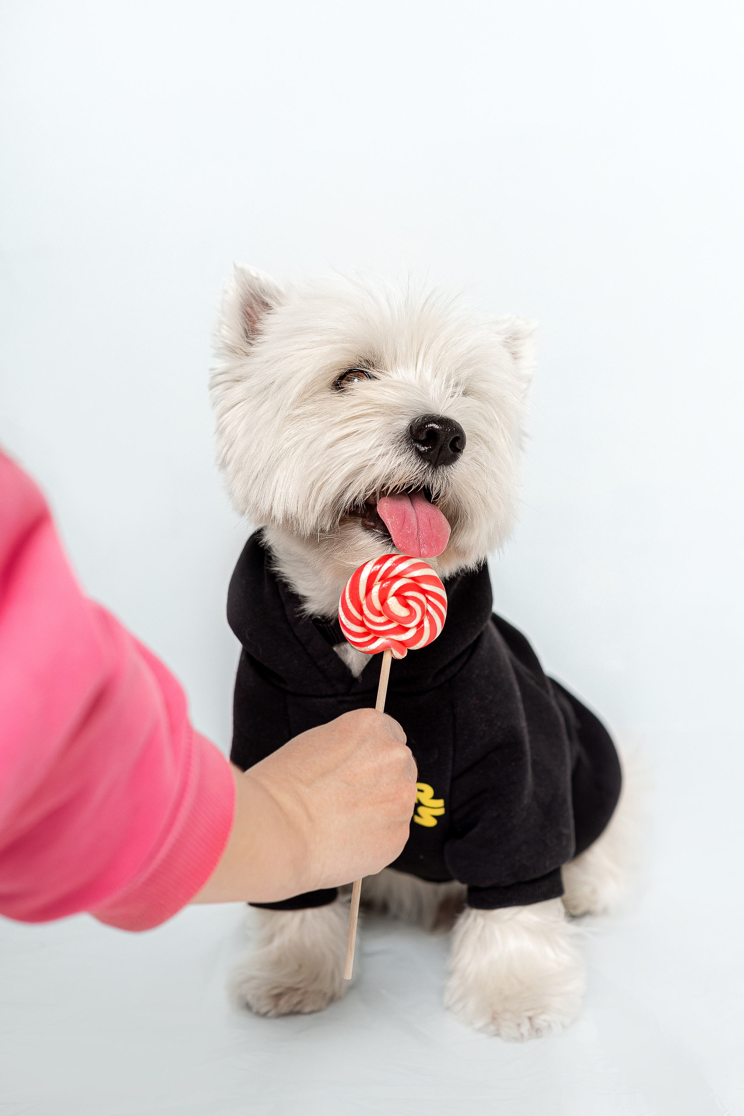 Вера и Бакс