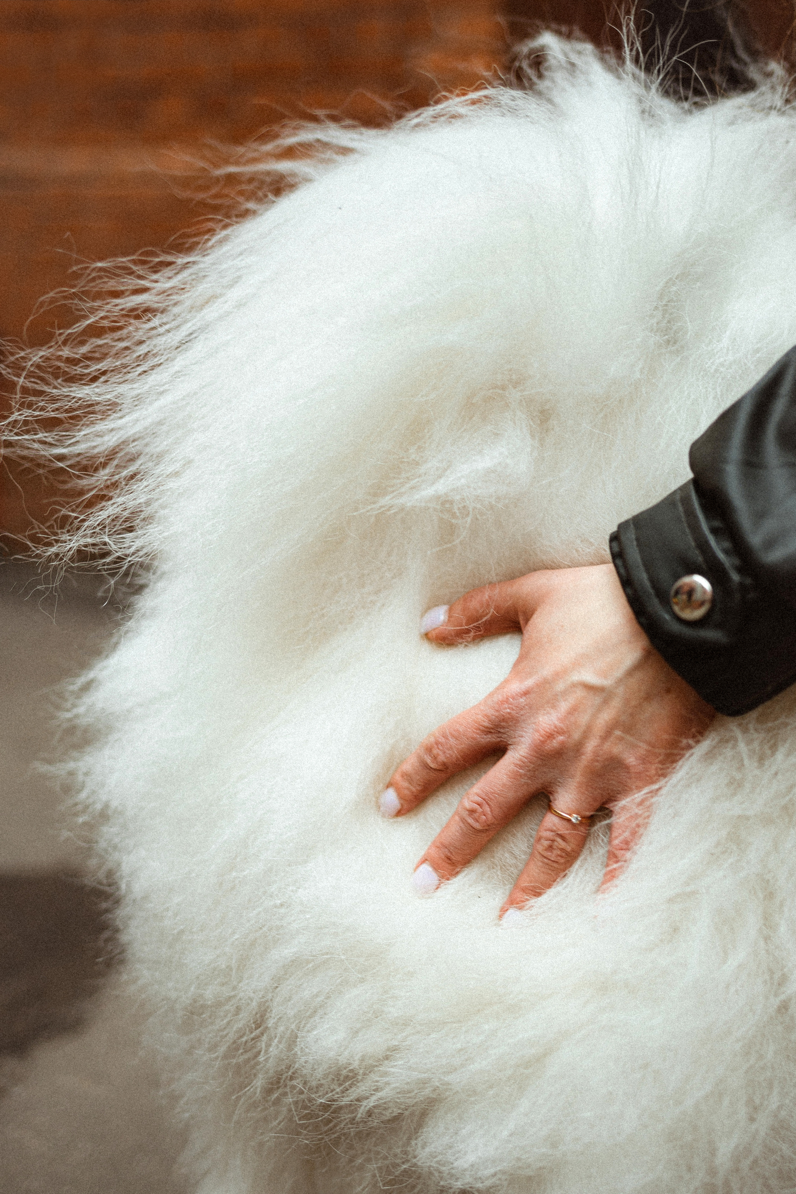 Вика и Балу