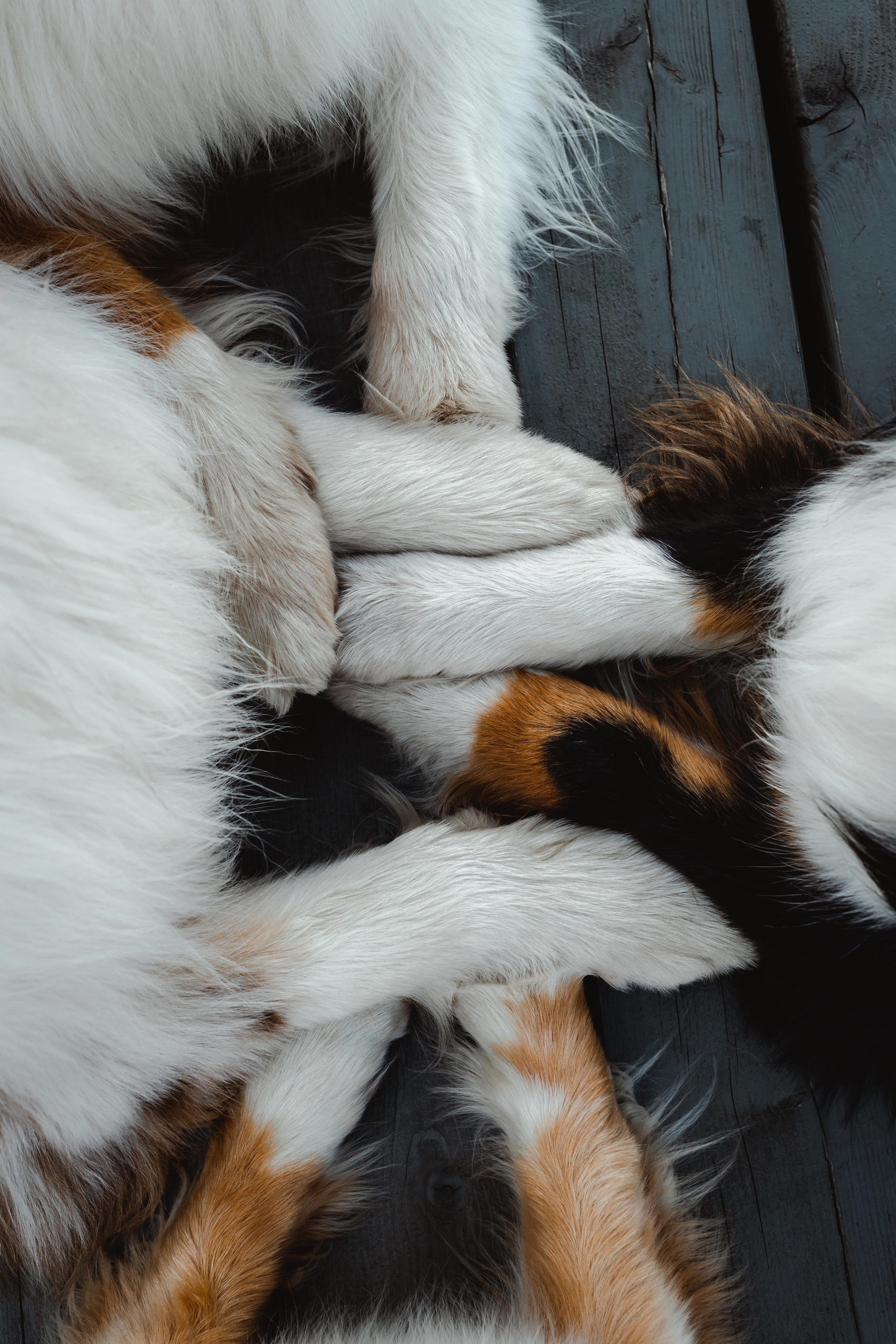 Маша и ее семья