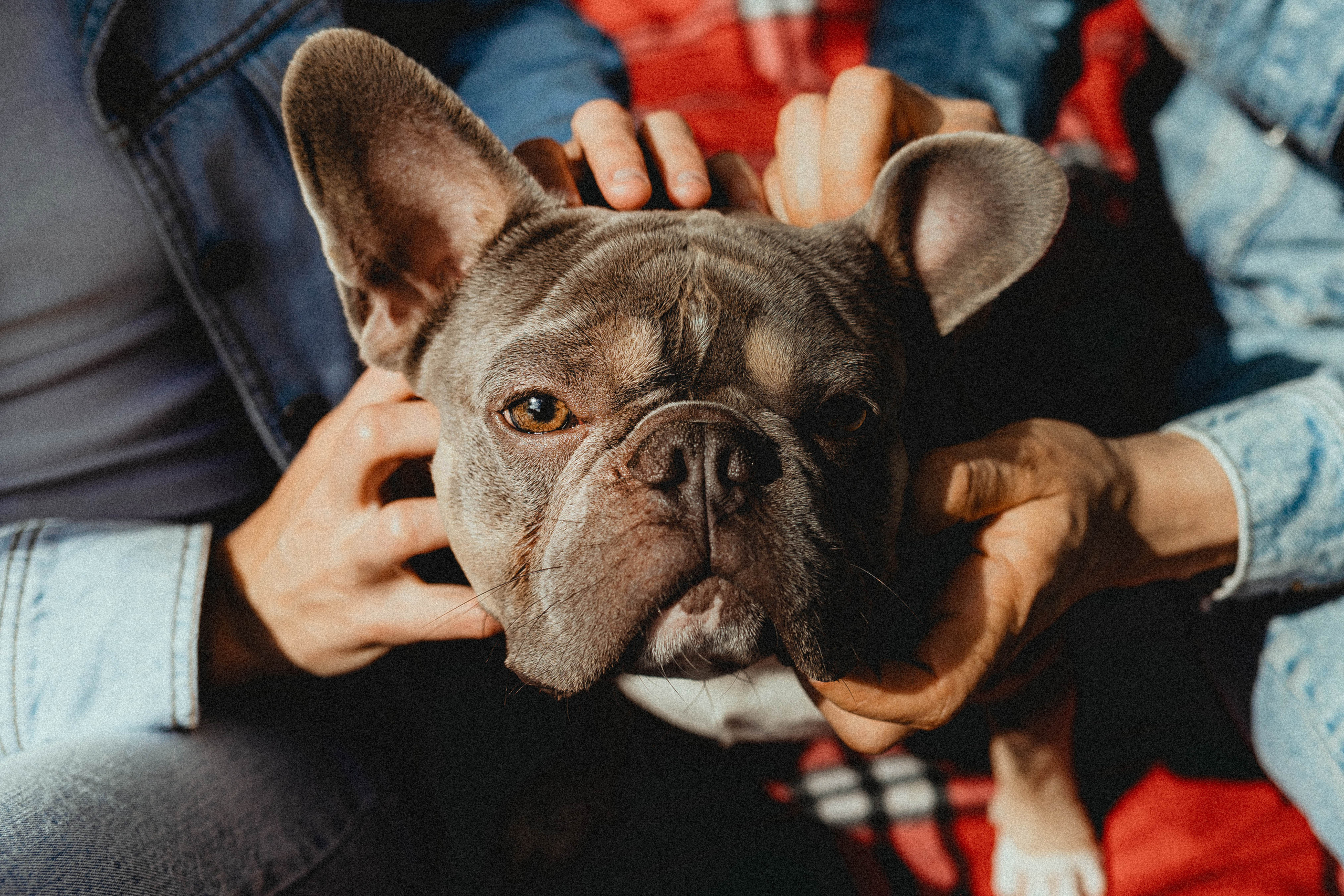 Регина, Сережа и Шелдон