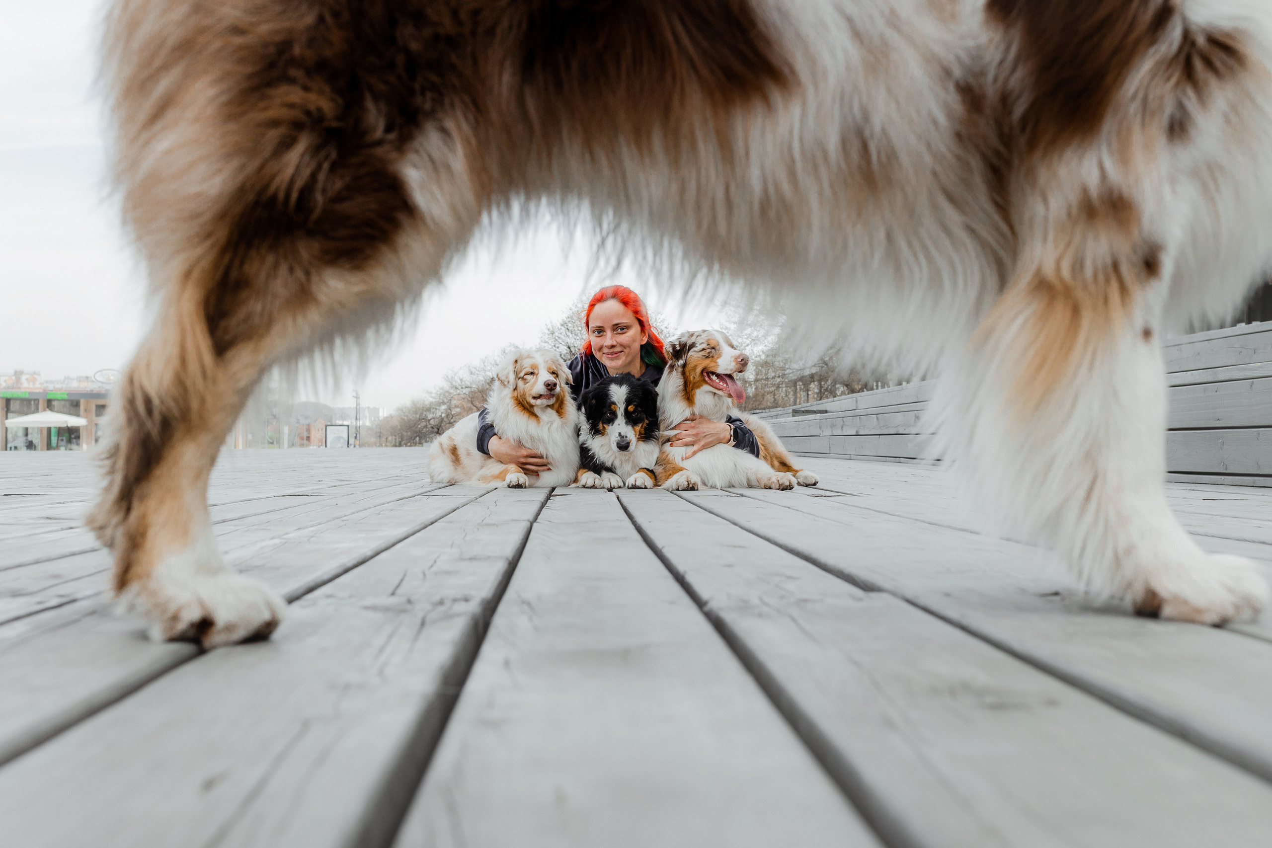 Маша и ее семья