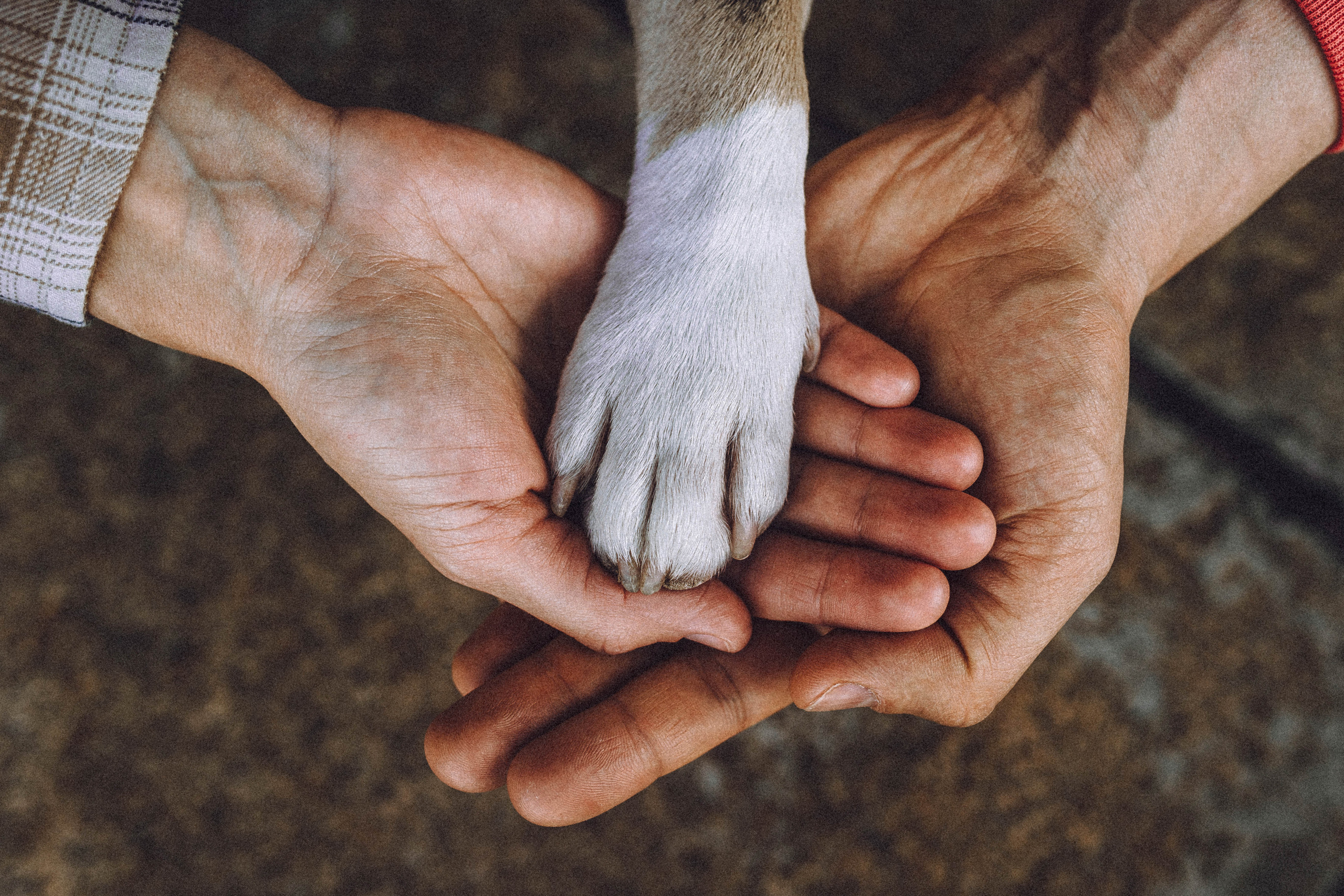 Регина, Сережа и Шелдон