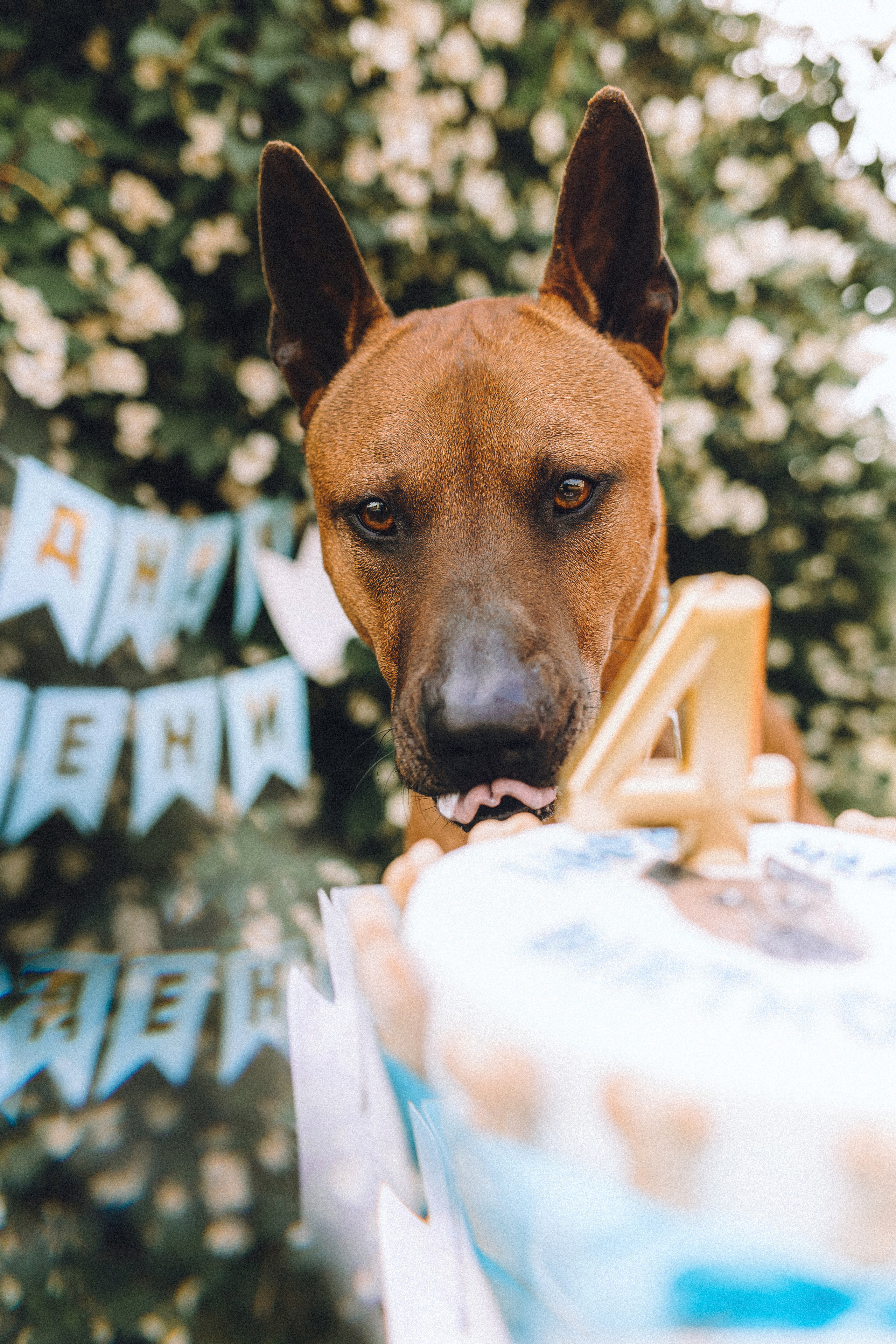 Оксана и Зевс