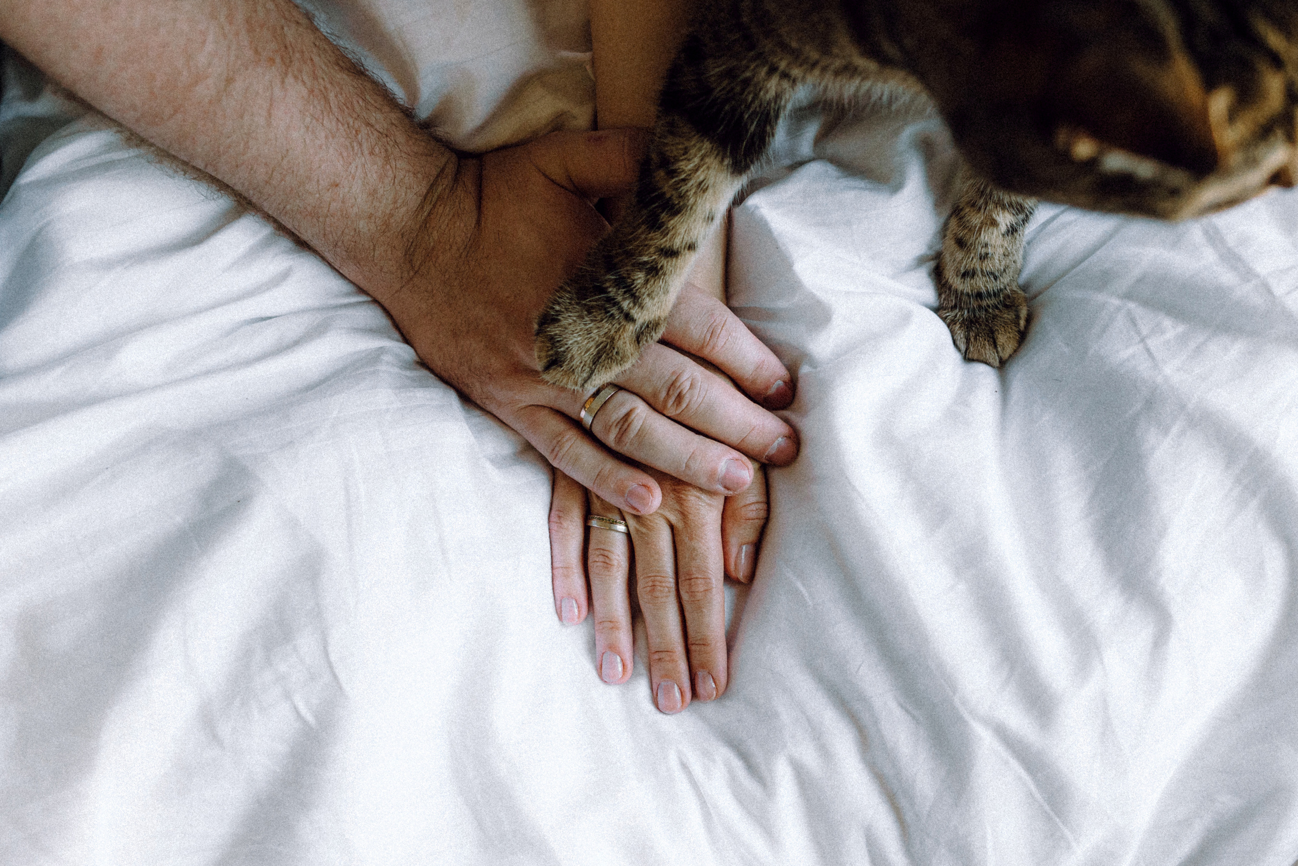 Вика, Вова и Клепа