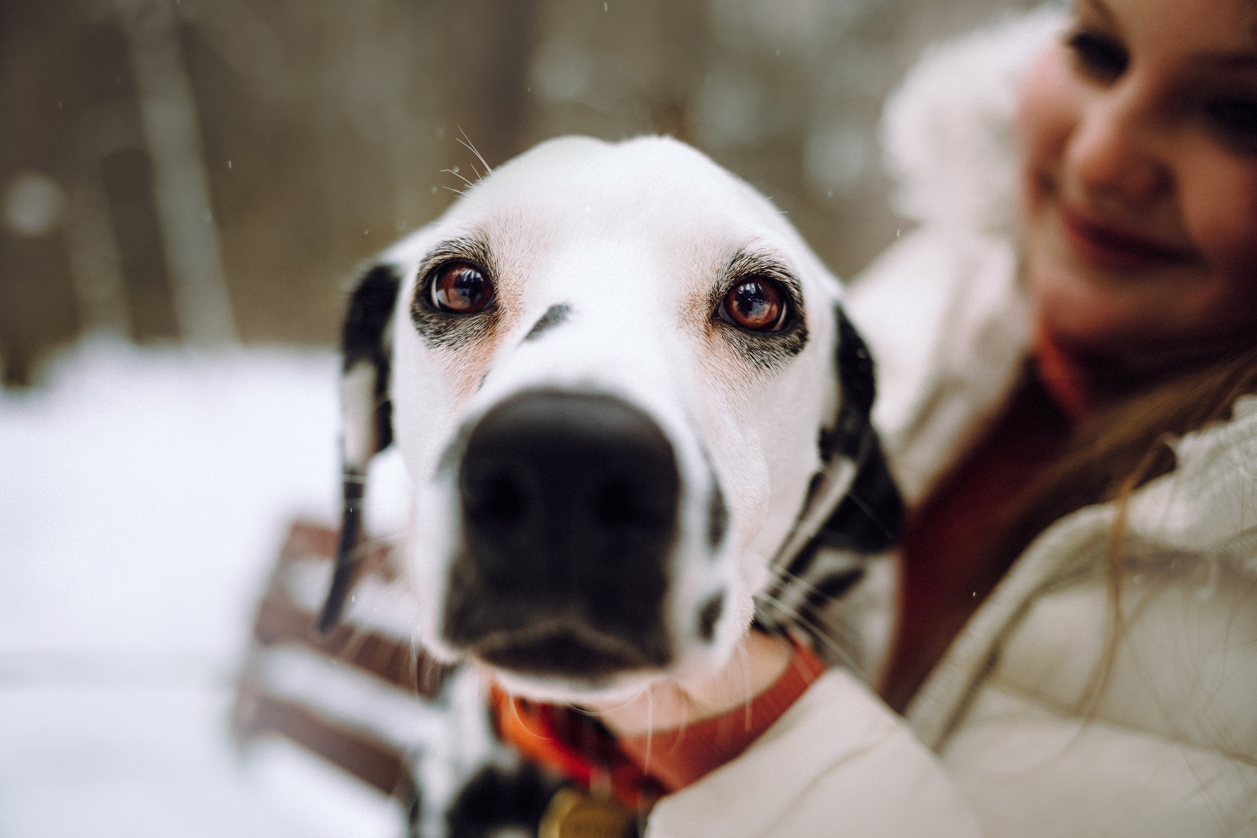 Кристина, Леша и Санта