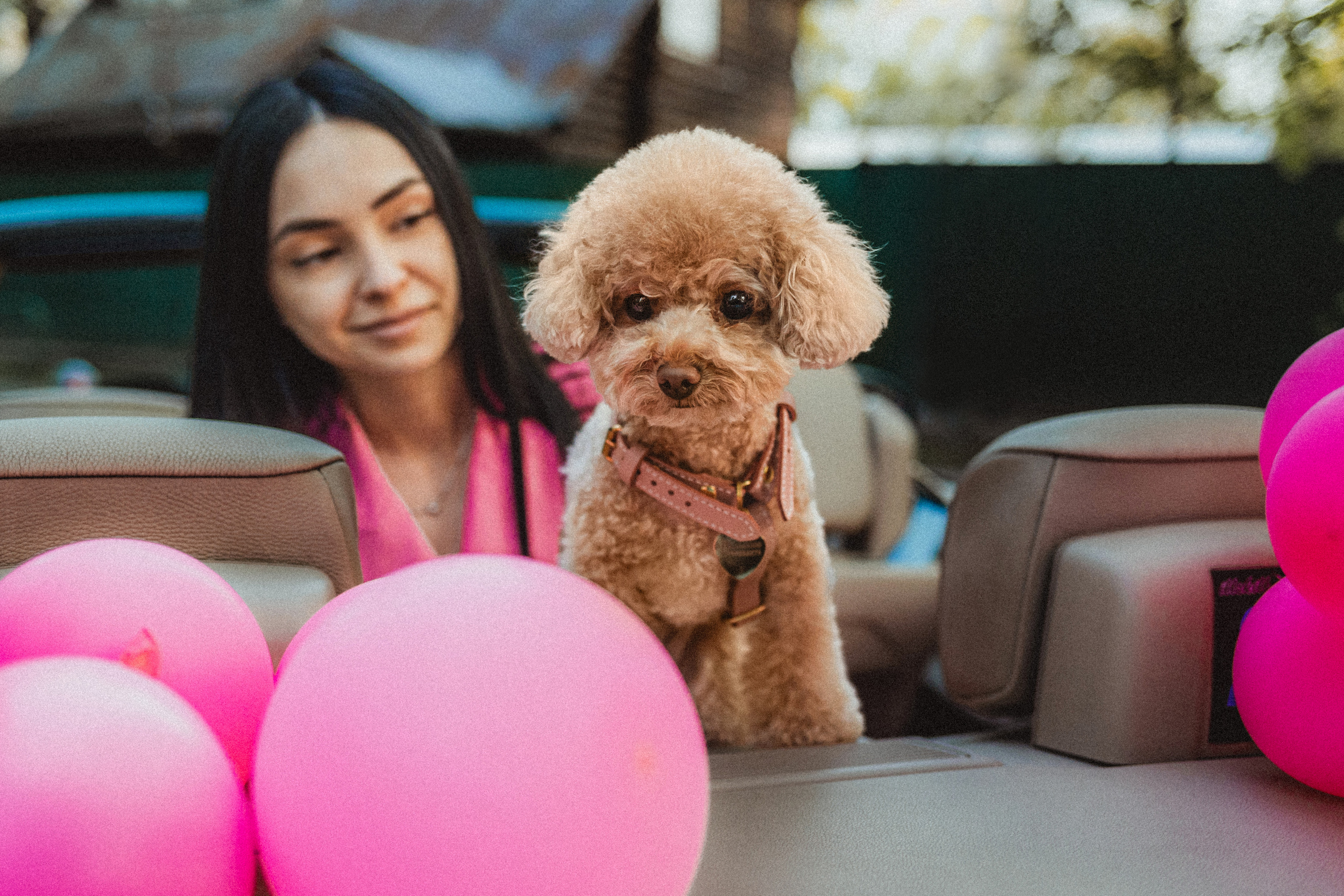 Даша и Глаша