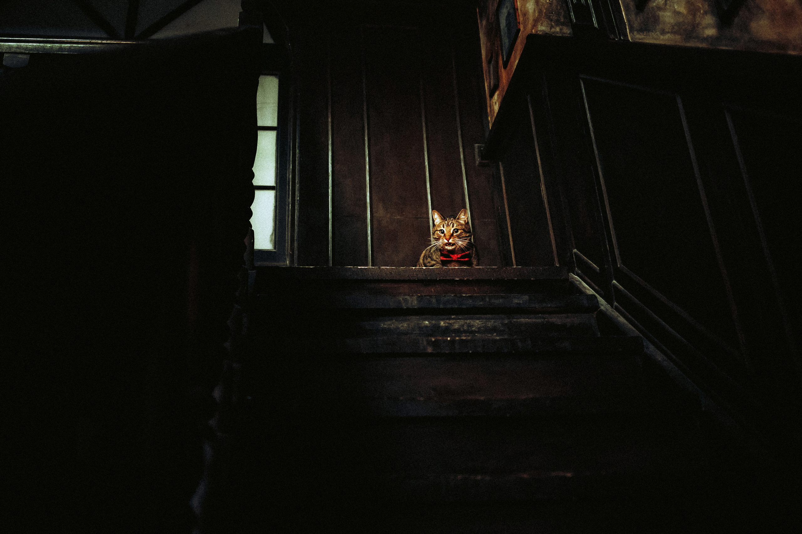 Вика, Вова и Клепа