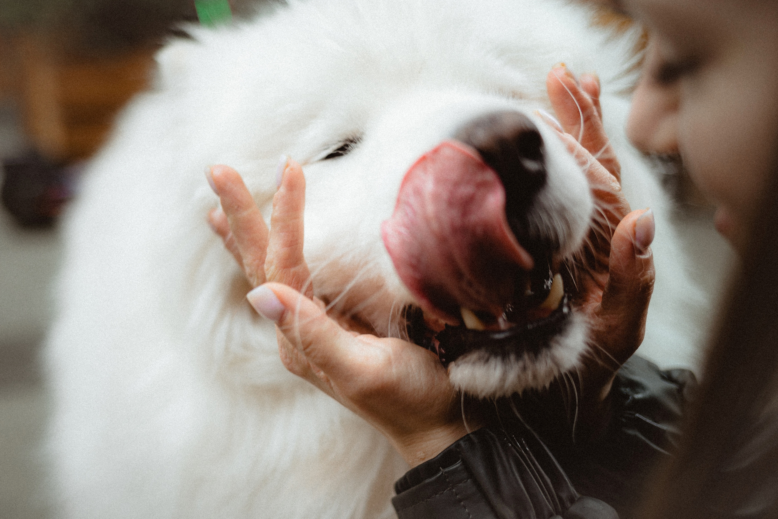 Вика и Балу