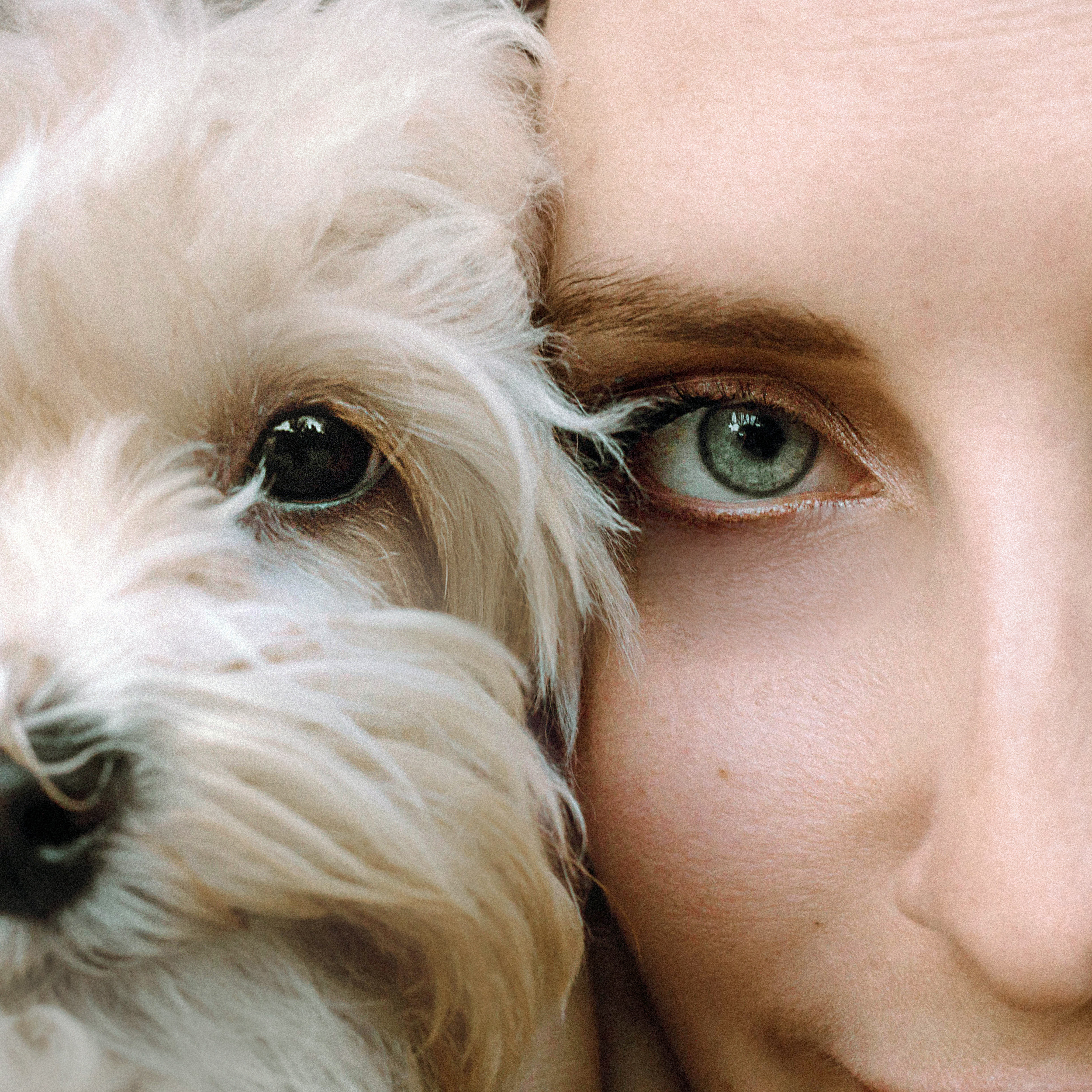 Настя и Симба