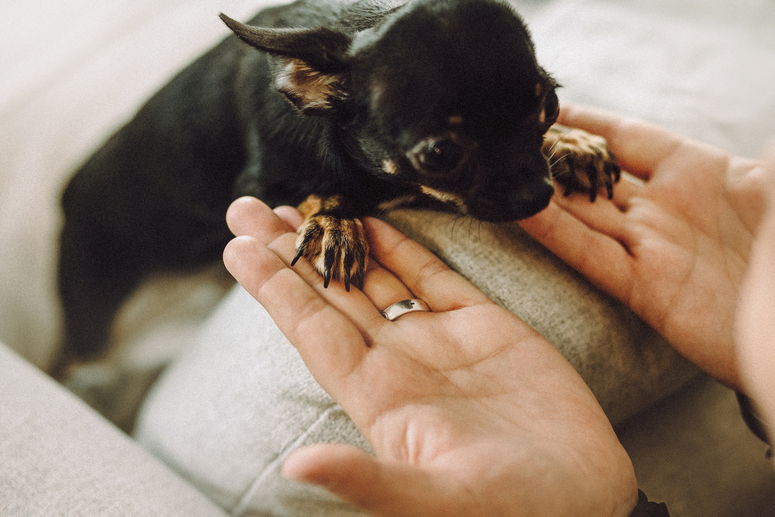 Марк, Челси, Маша и их семья