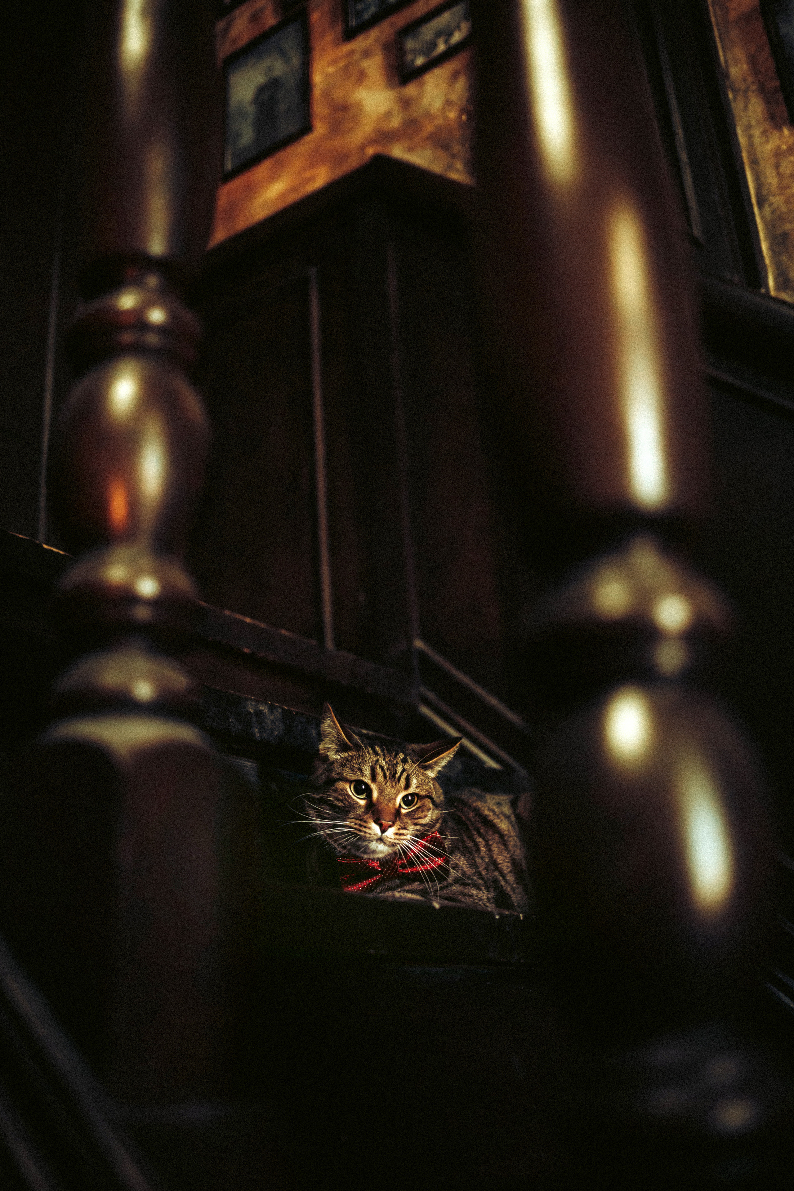 Вика, Вова и Клепа