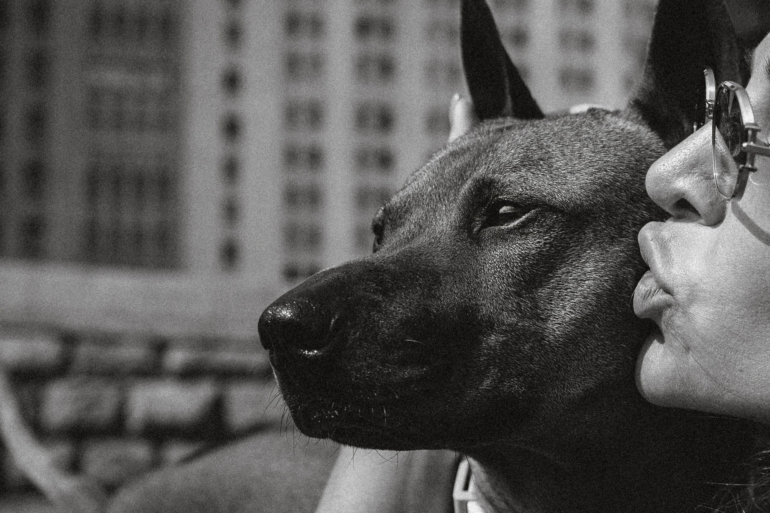 Оксана и Зевс