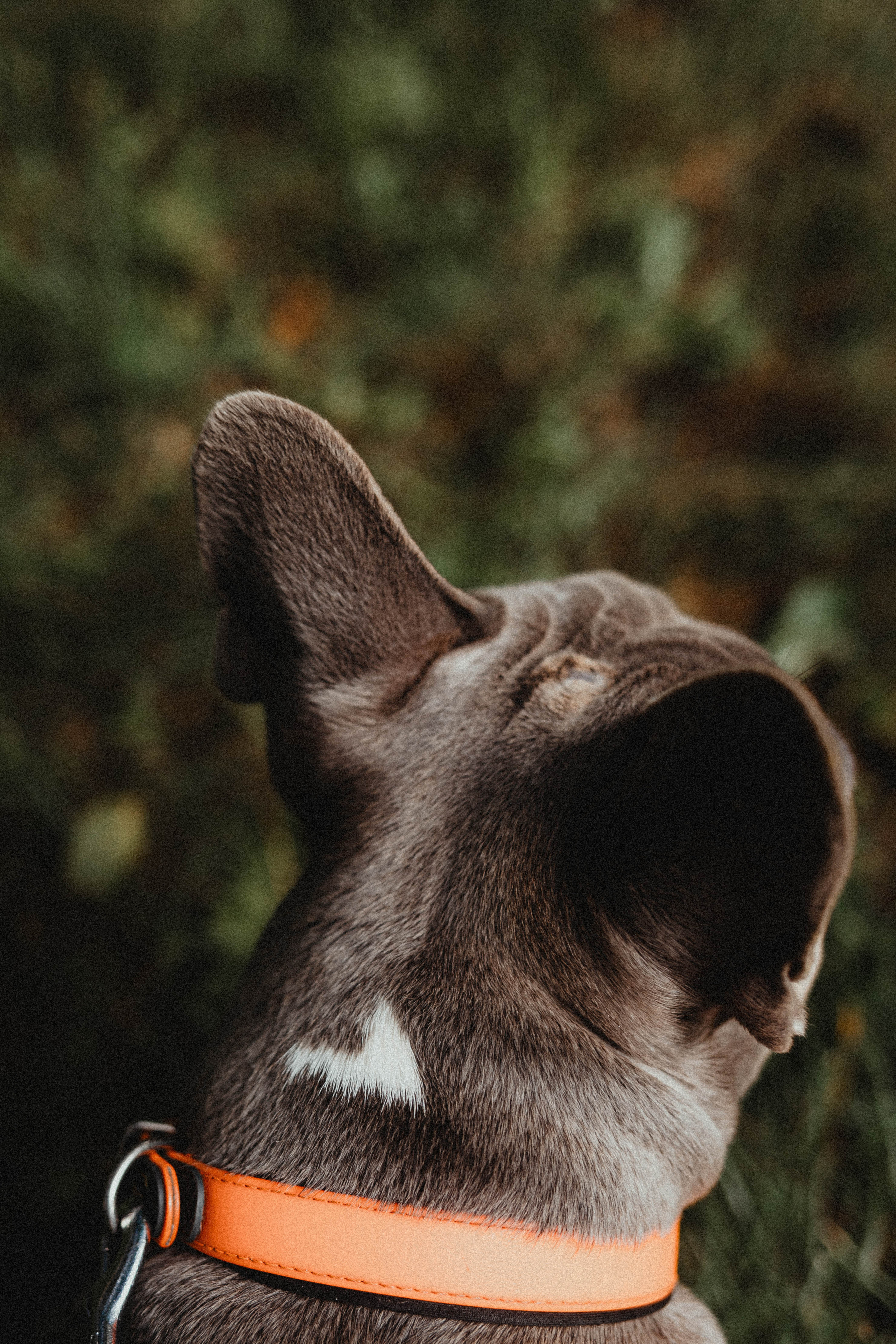 Регина, Сережа и Шелдон