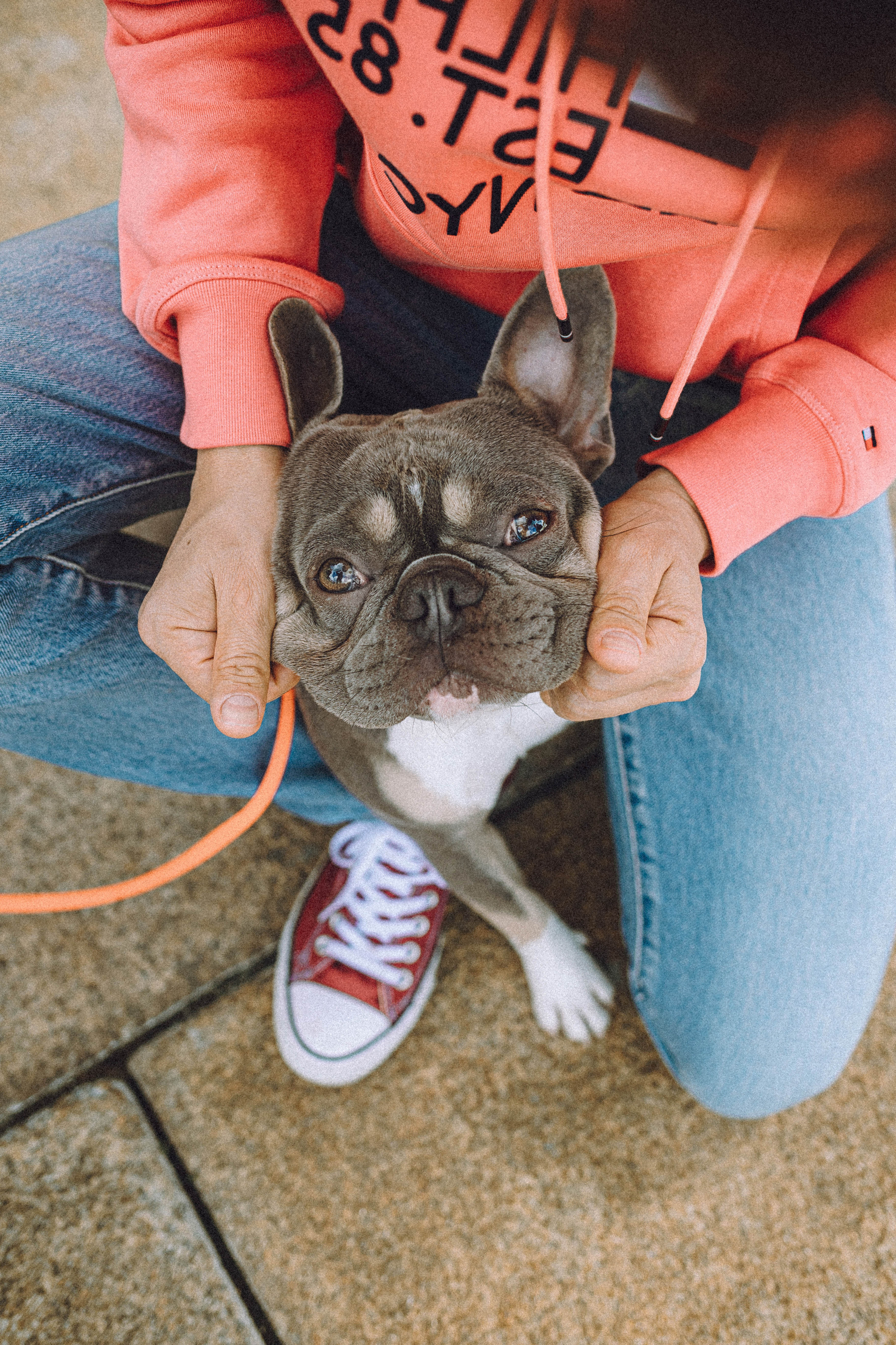 Регина, Сережа и Шелдон