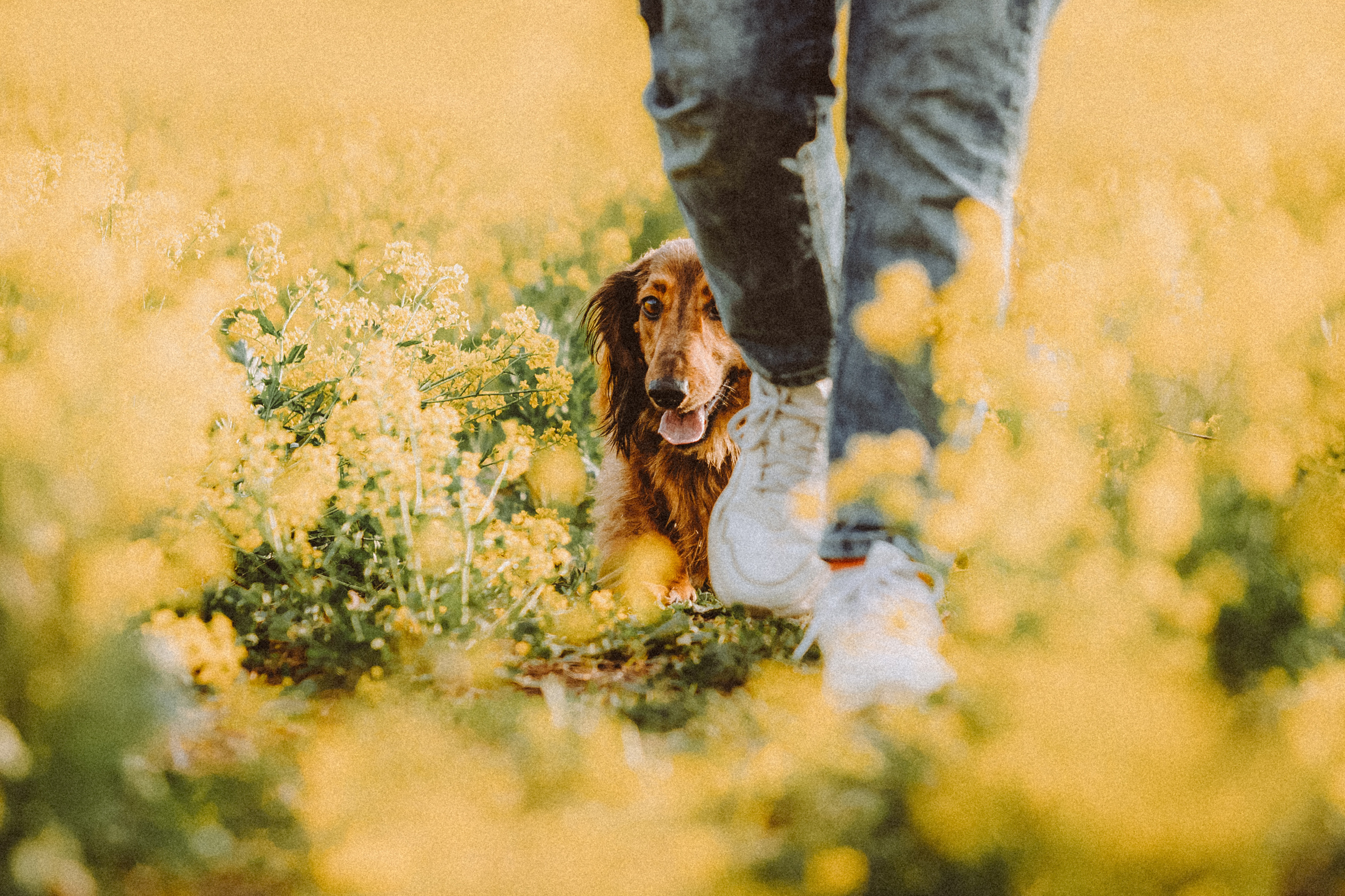 Джаз, Остин и их семья