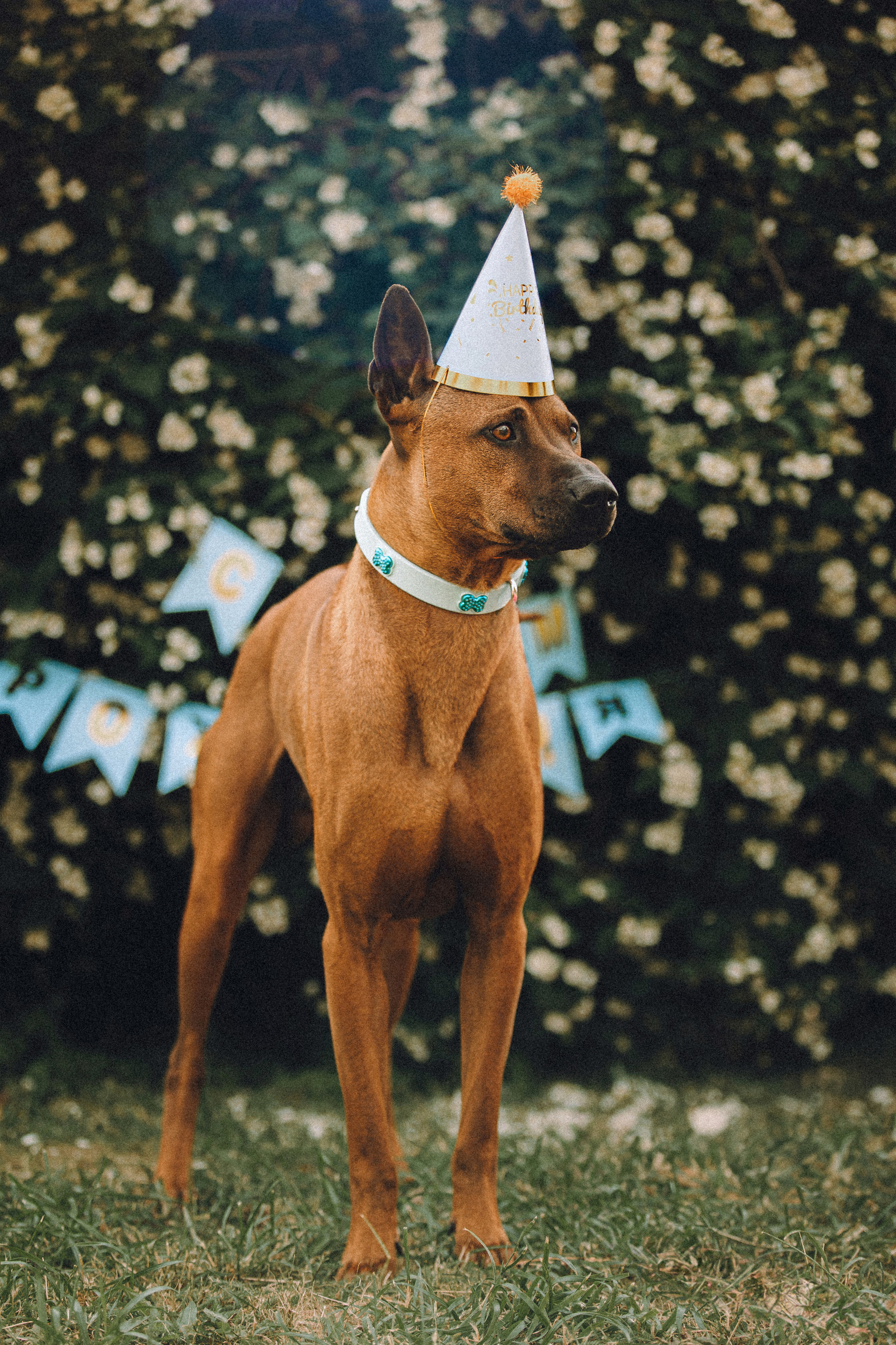 Оксана и Зевс