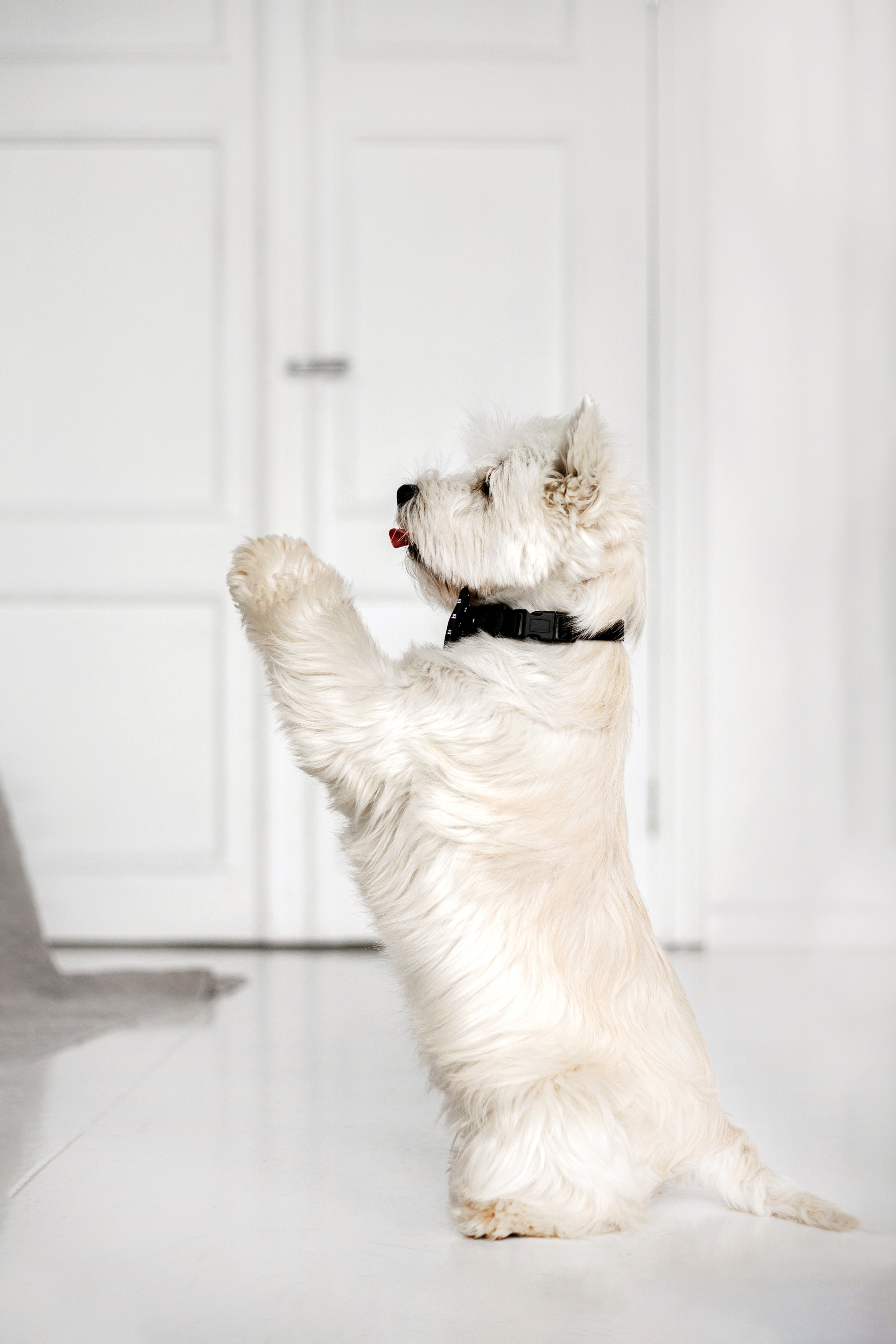 Вера и Бакс