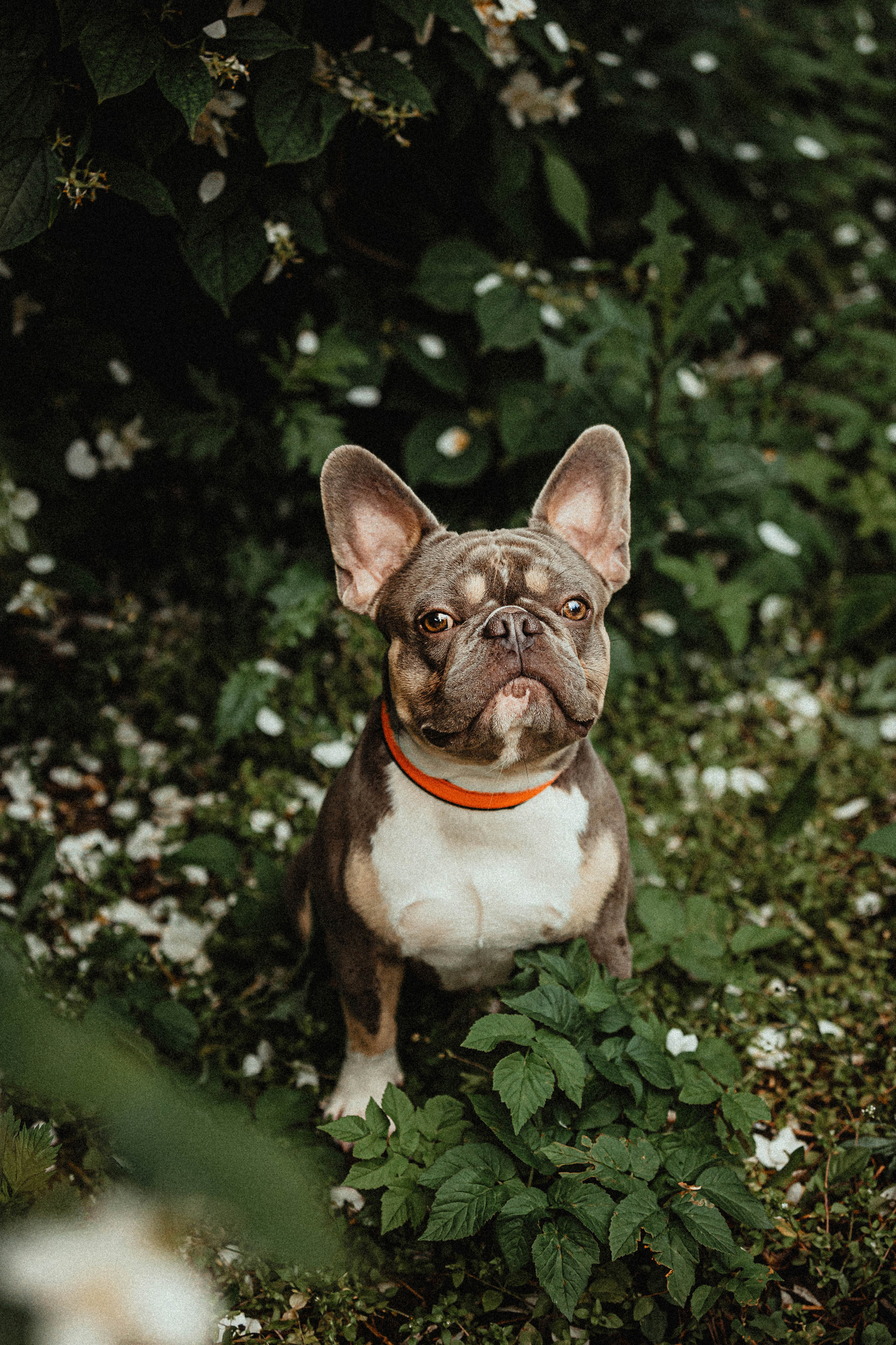 Регина, Сережа и Шелдон