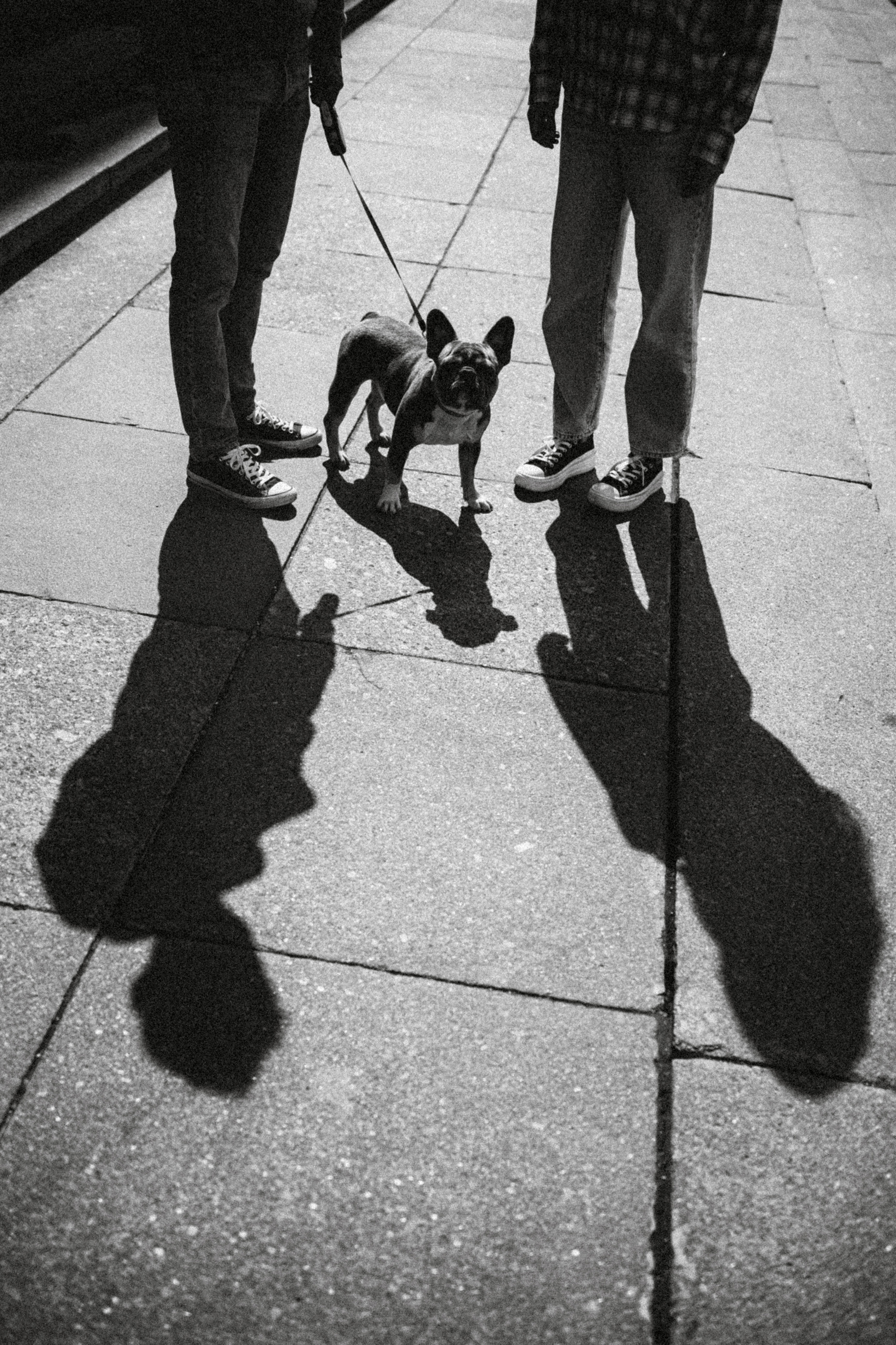 Регина, Сережа и Шелдон