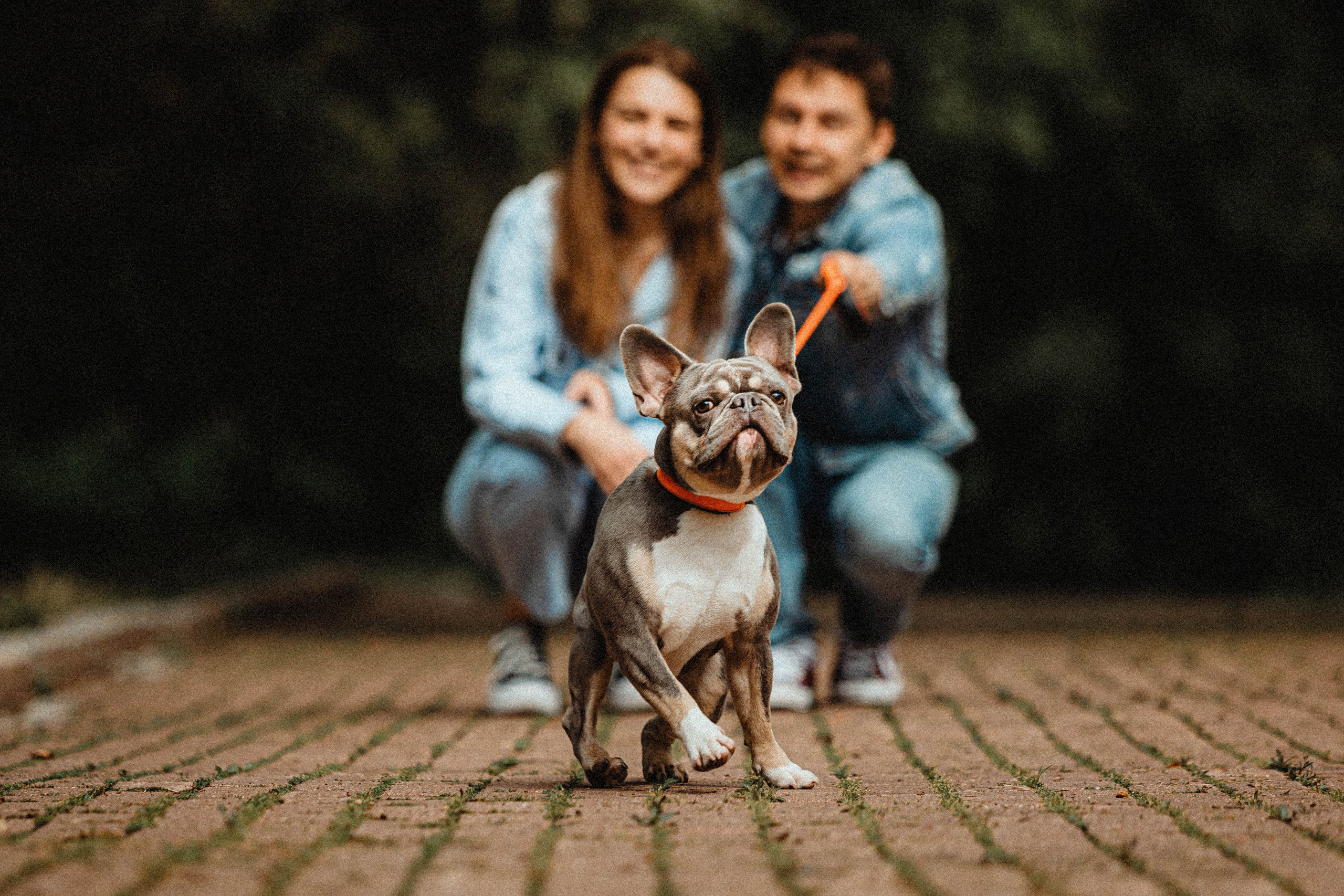 Регина, Сережа и Шелдон