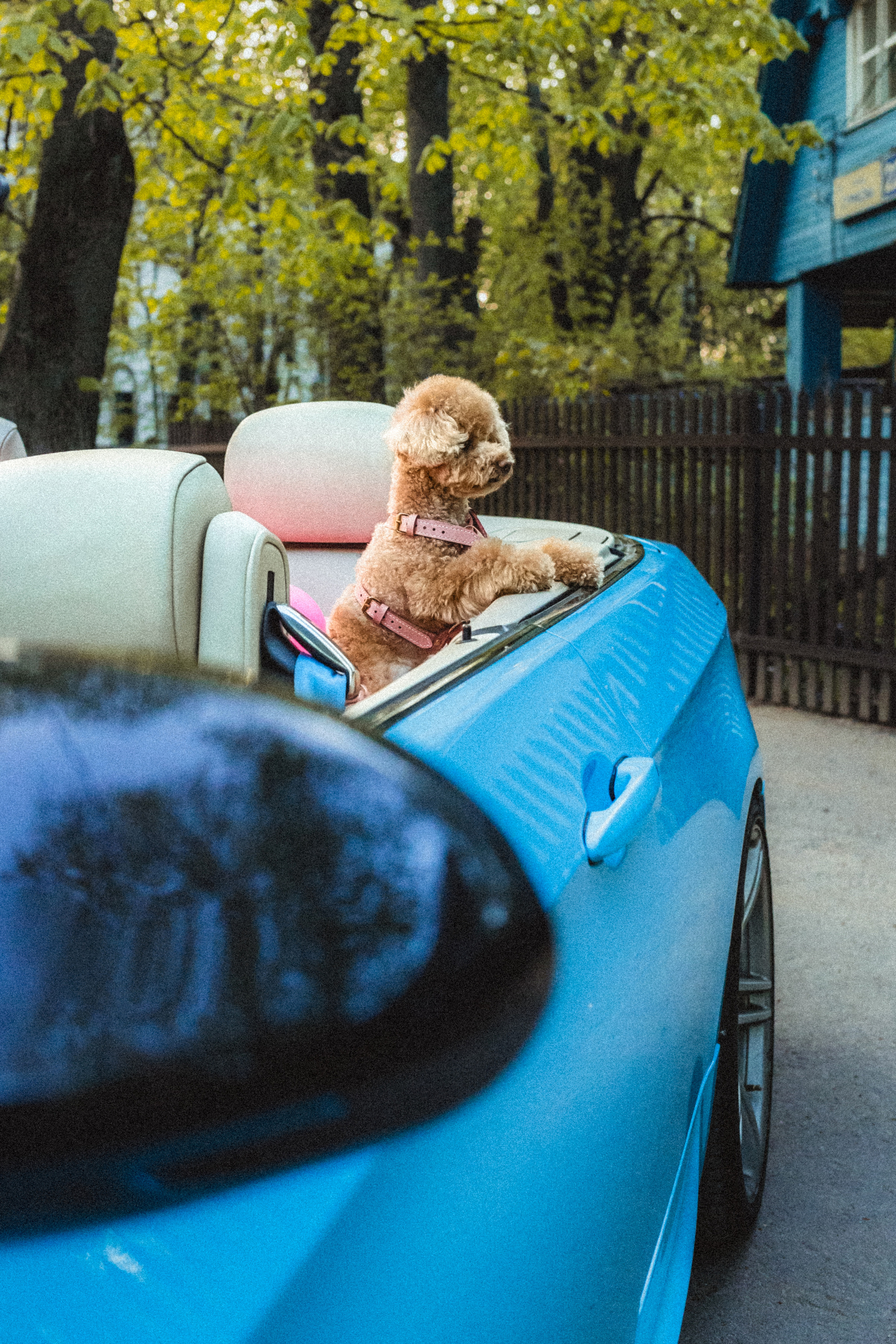 Даша и Глаша