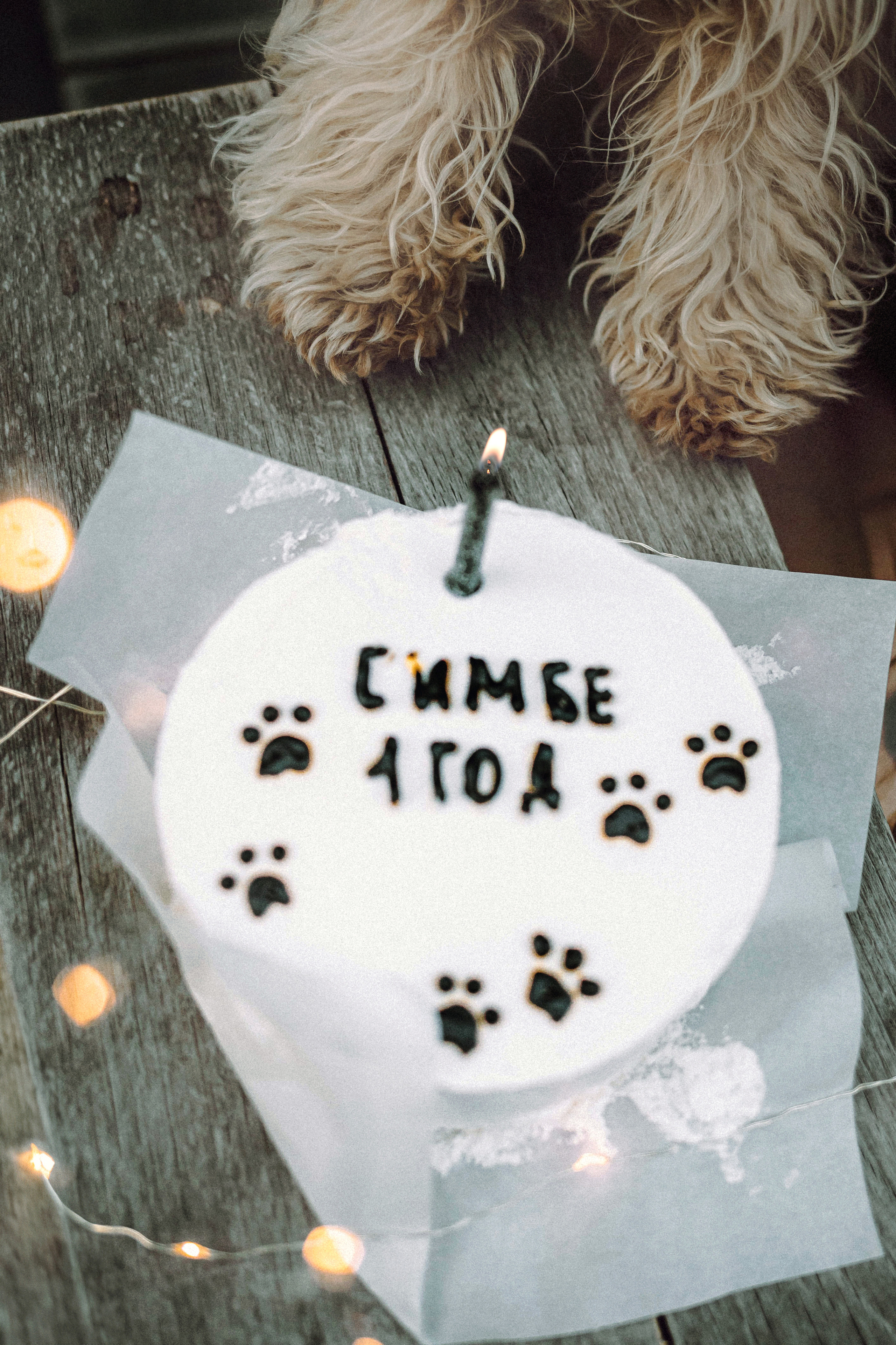 Настя и Симба