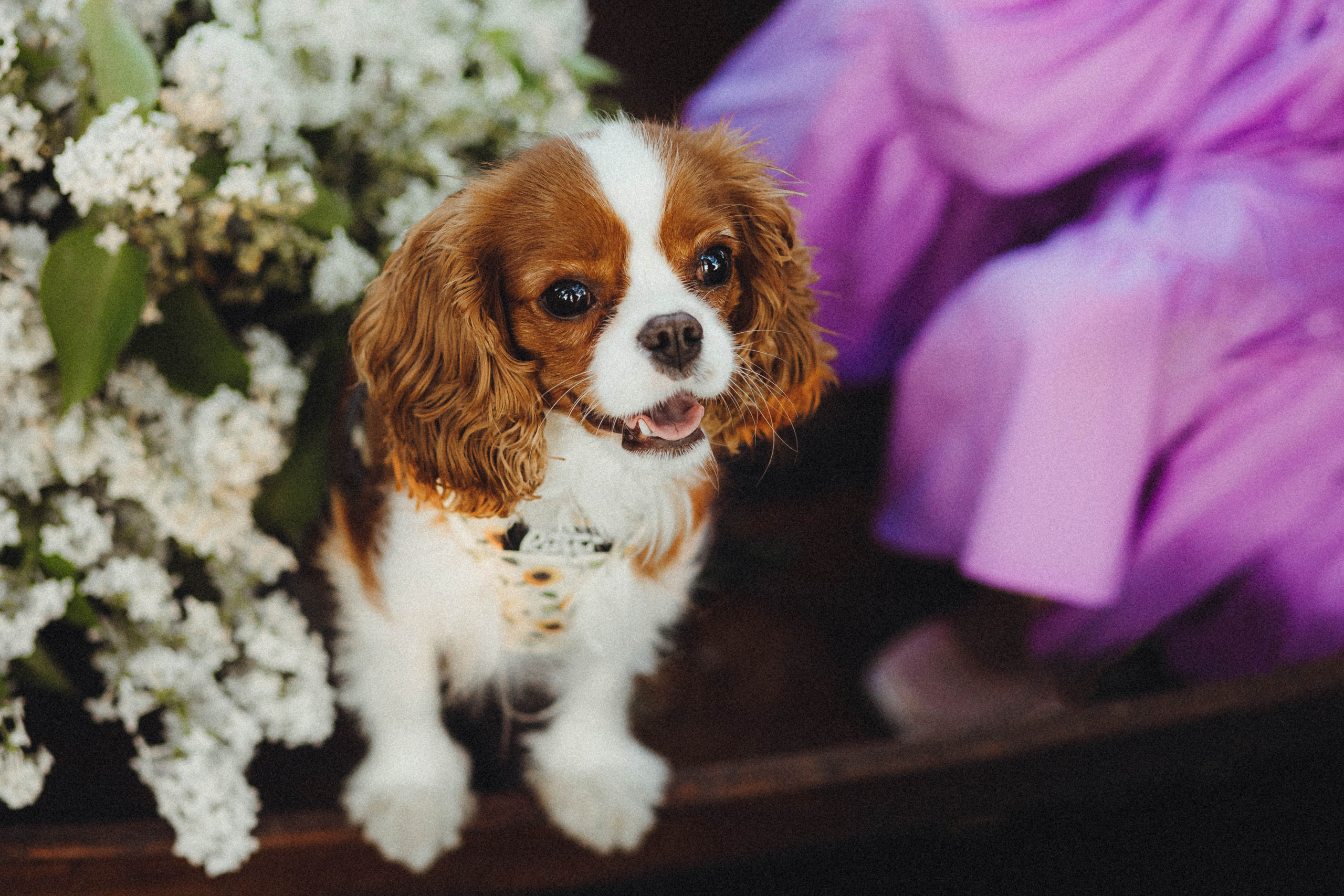 Валя, Аня и Ириска