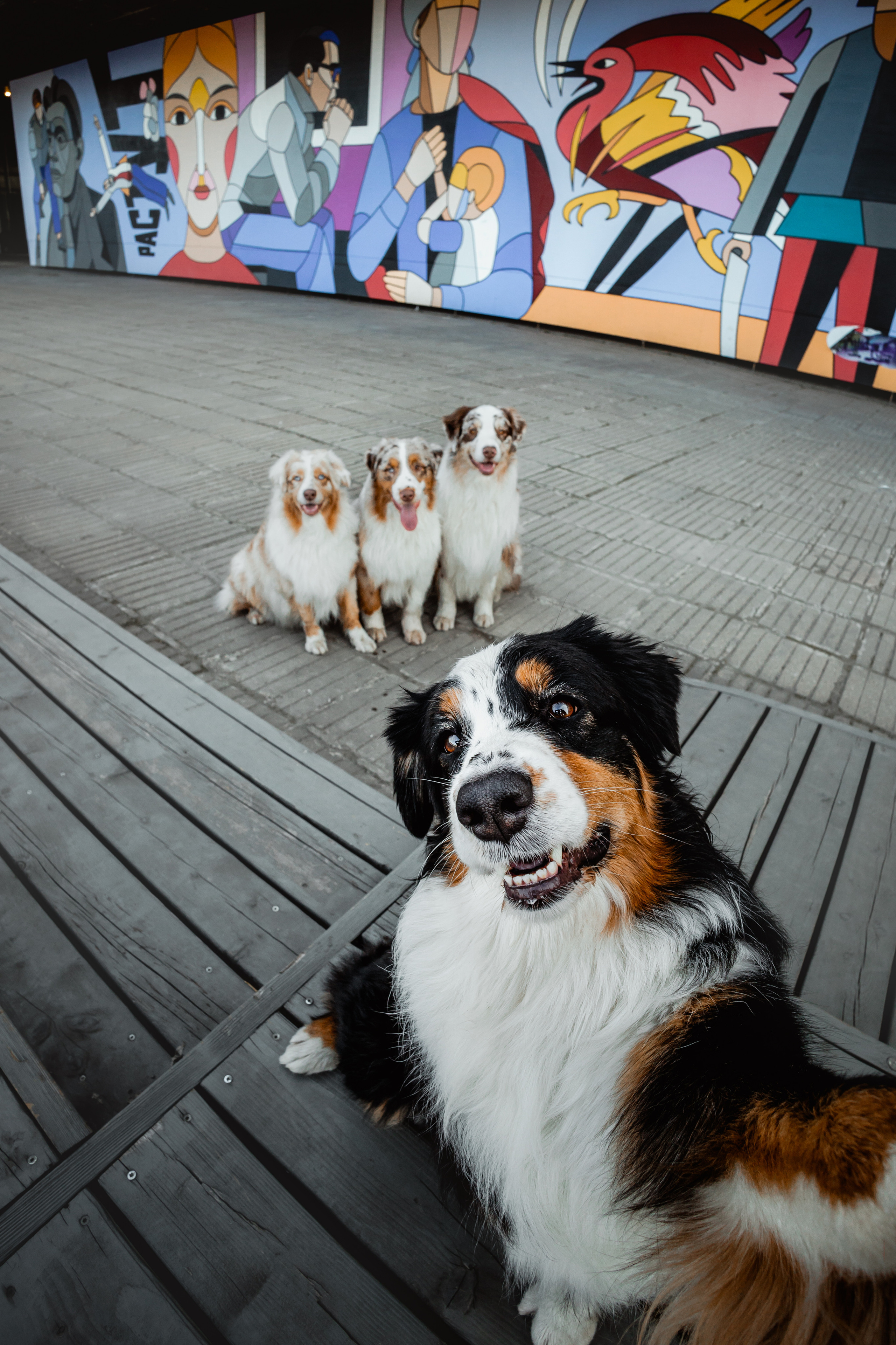 Маша и ее семья