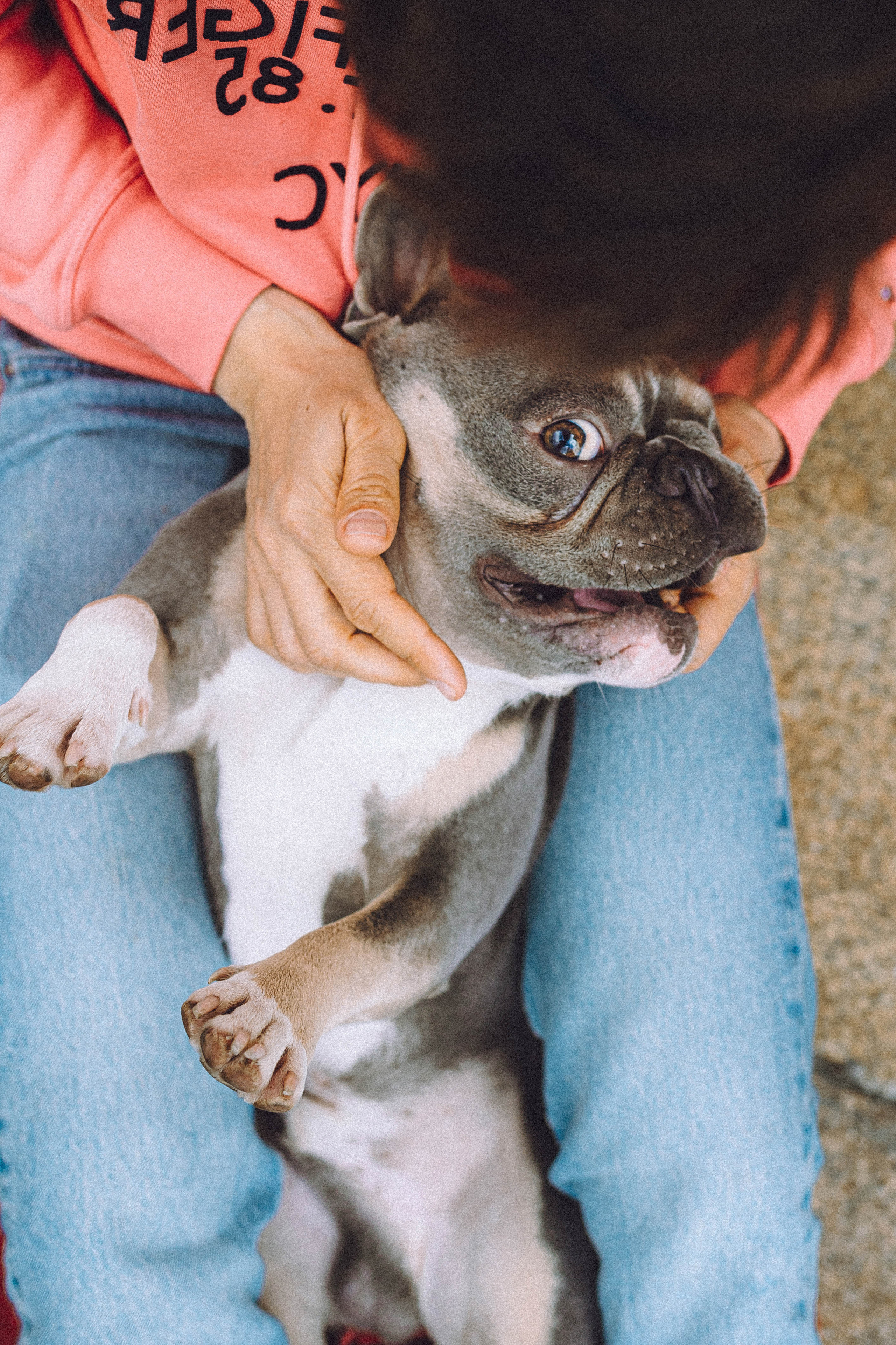 Регина, Сережа и Шелдон