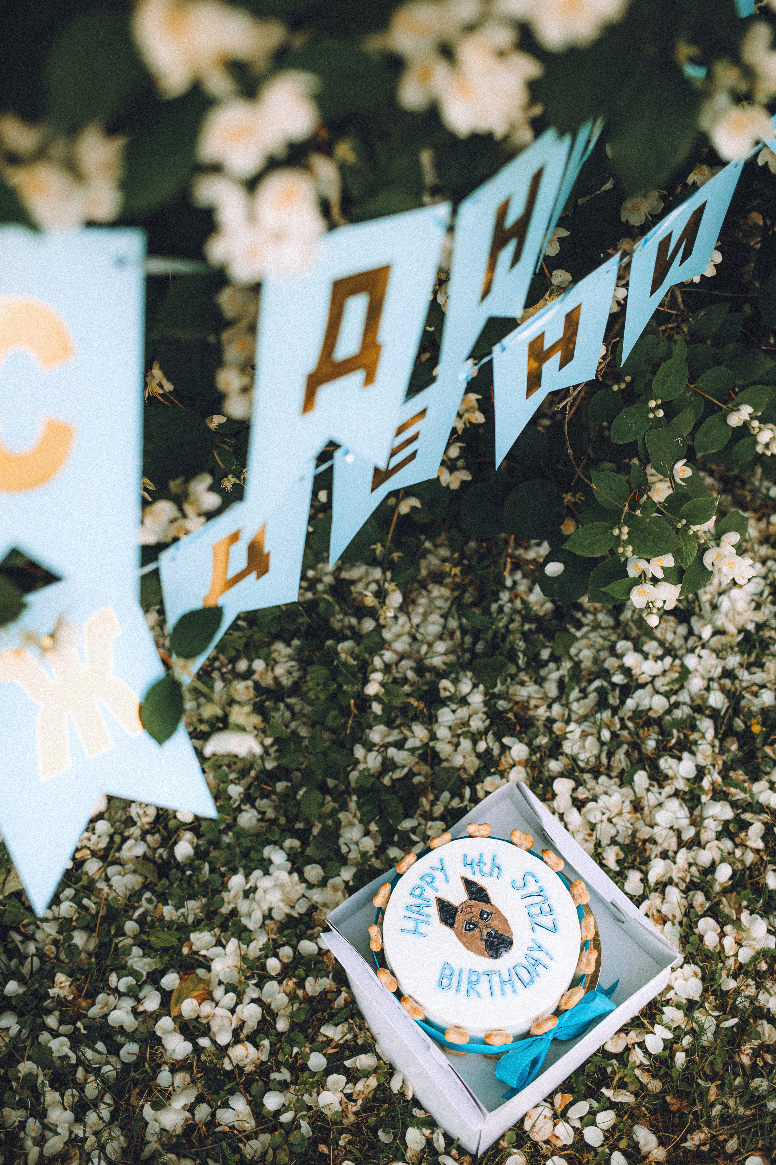 Оксана и Зевс