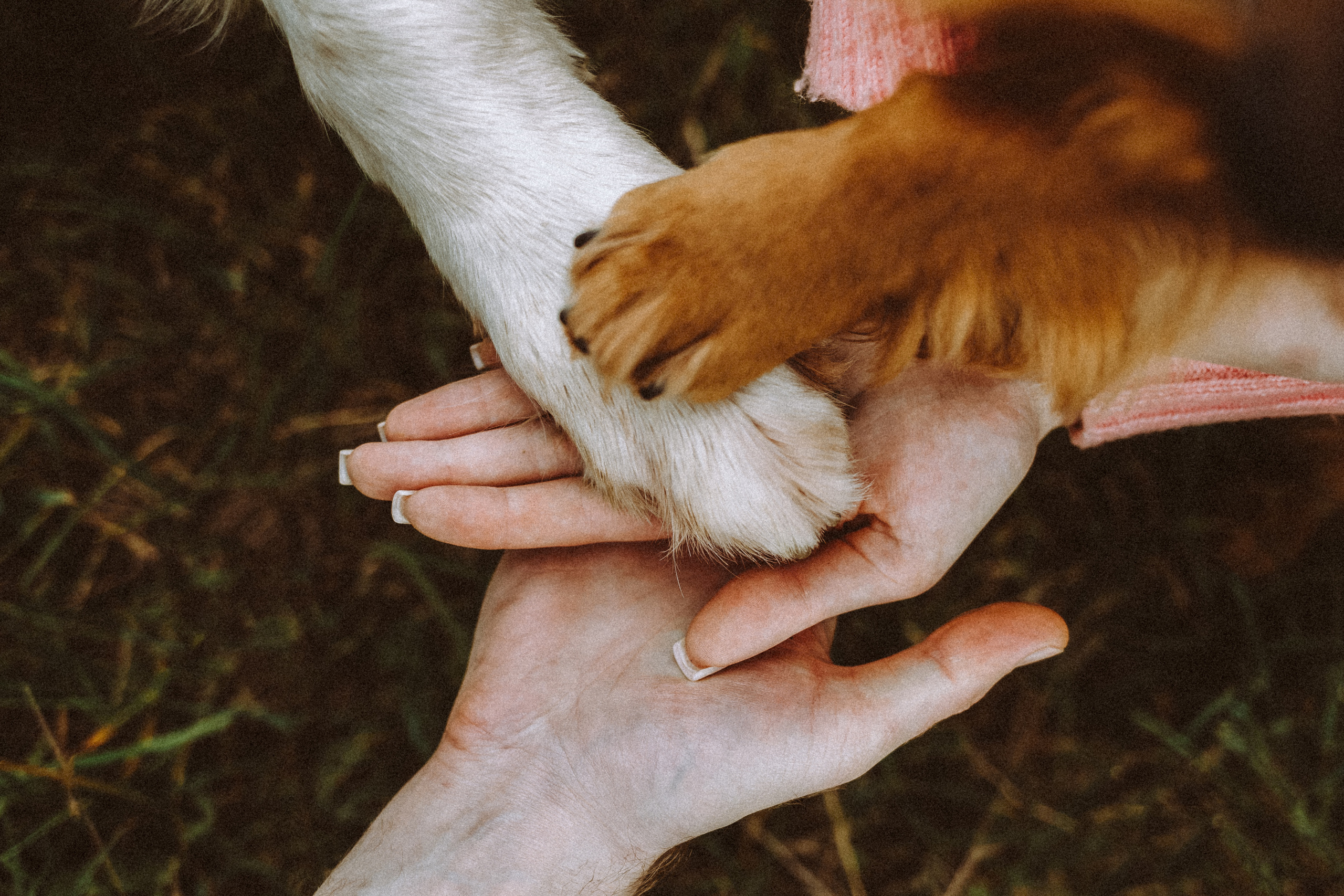 Джаз, Остин и их семья