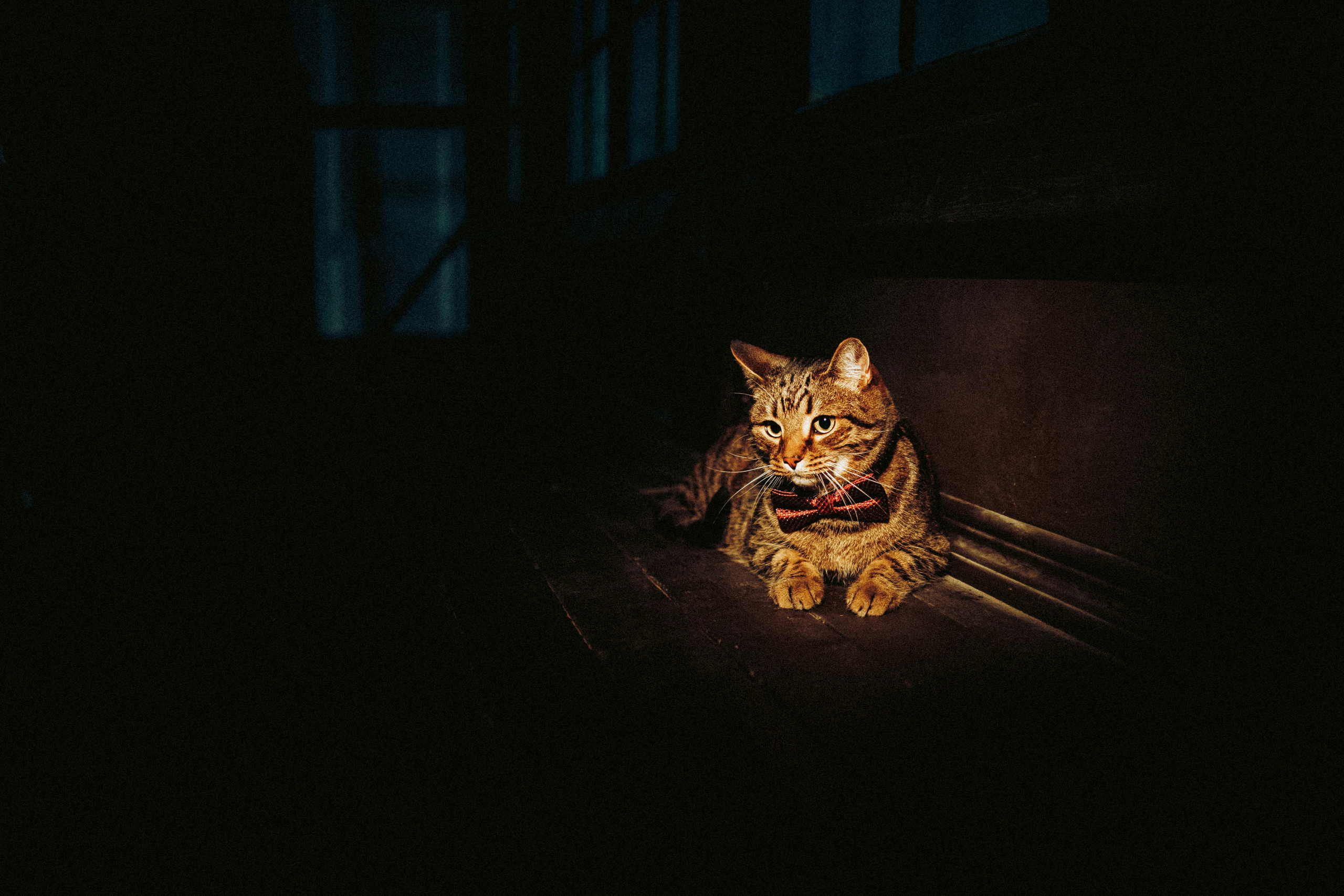 Вика, Вова и Клепа