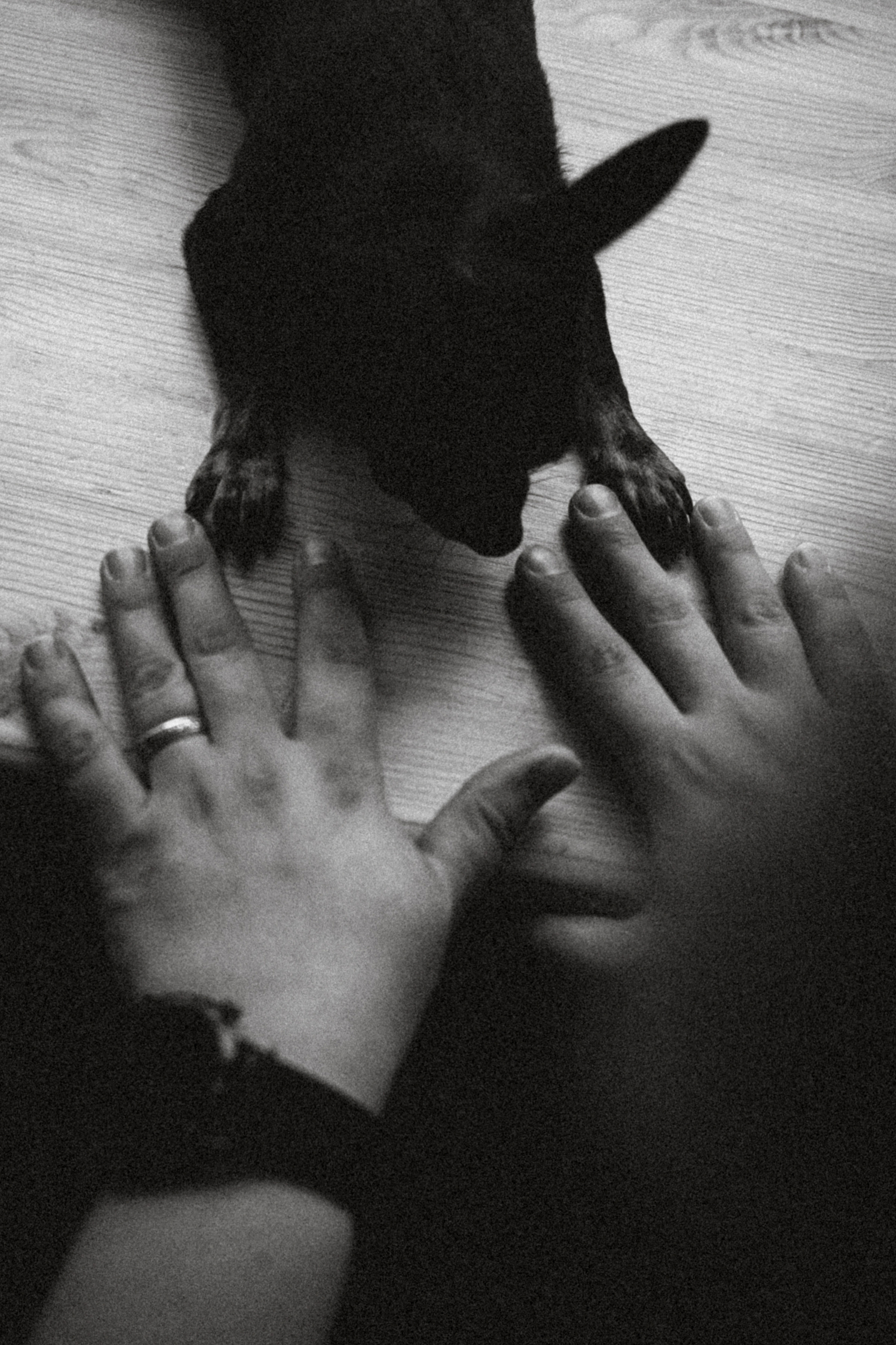 Марк, Челси, Маша и их семья