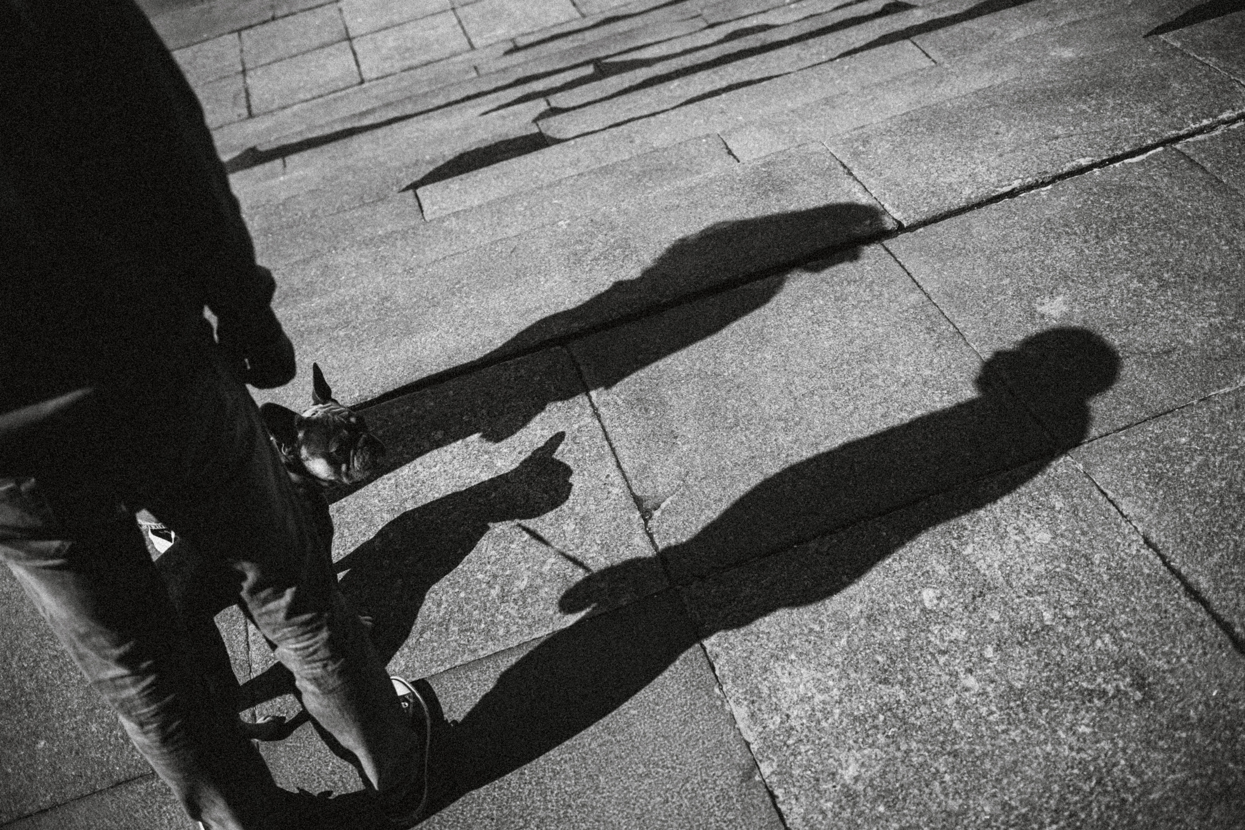 Регина, Сережа и Шелдон