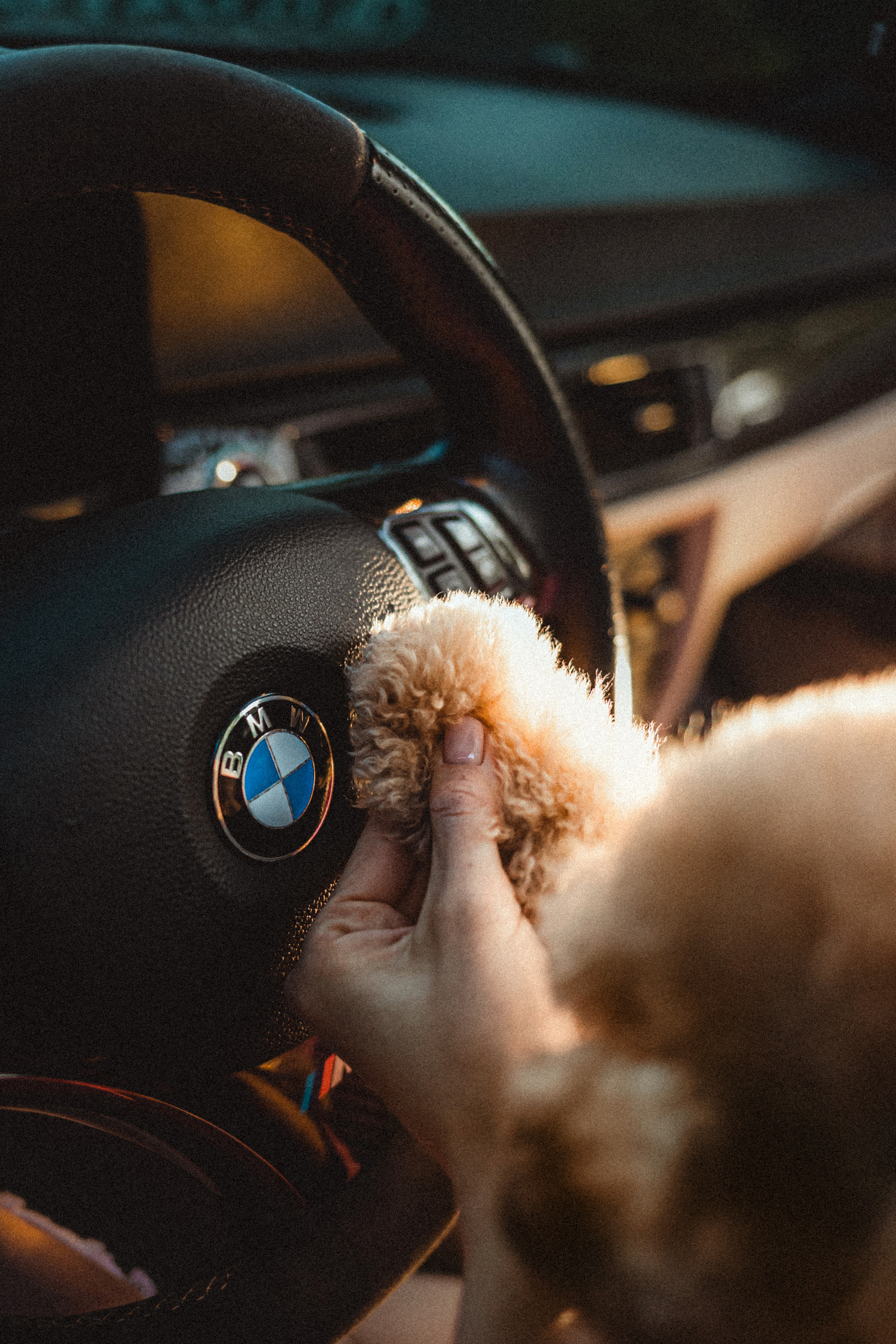 Даша и Глаша