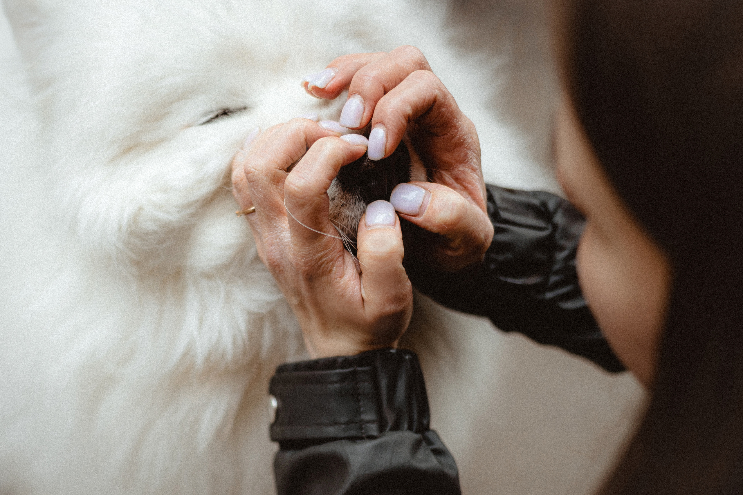 Вика и Балу