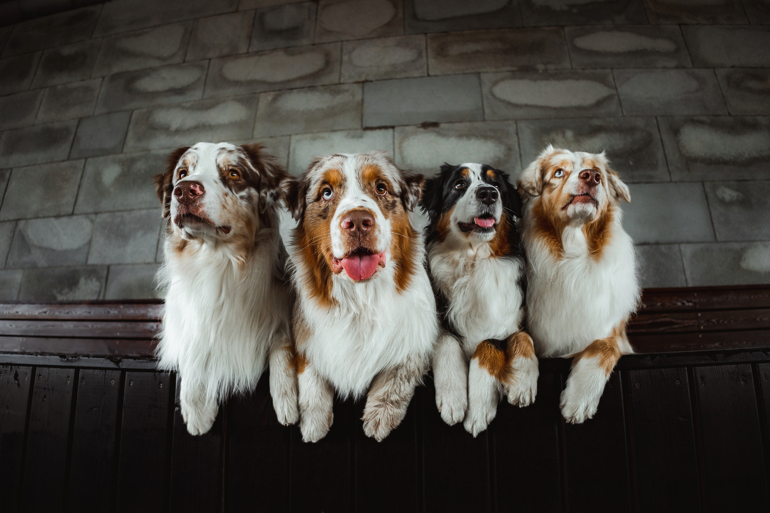 Маша и ее семья