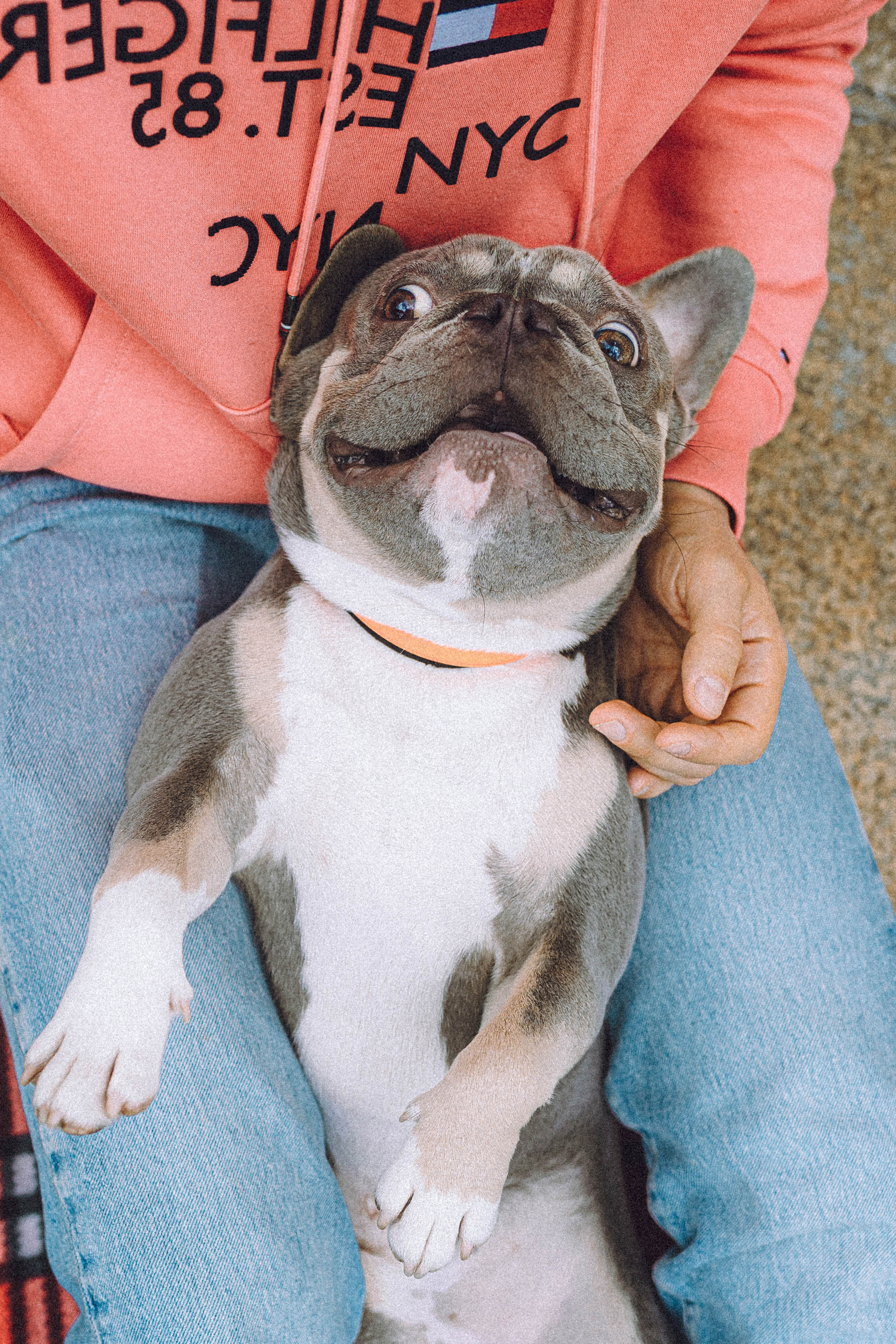 Регина, Сережа и Шелдон