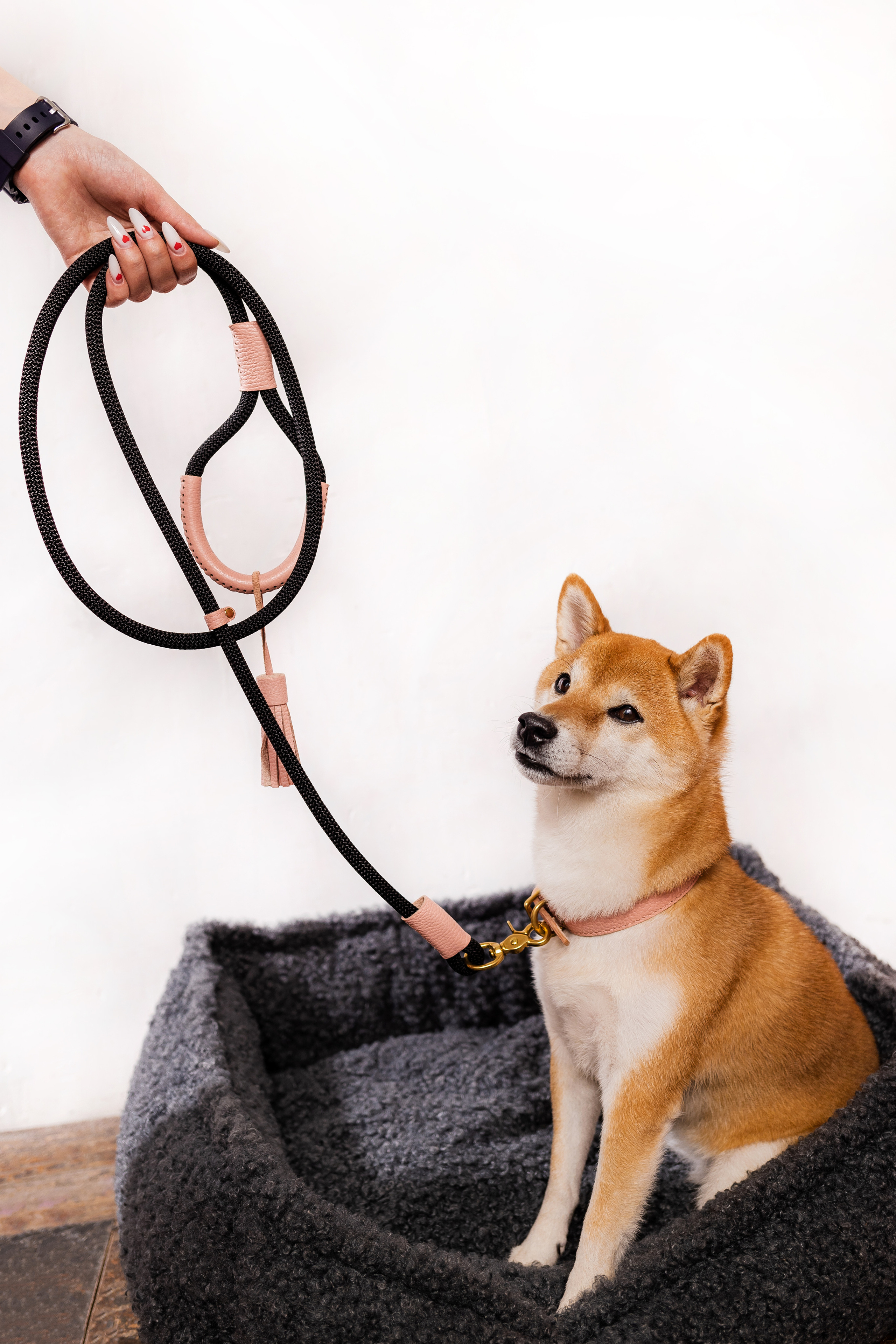 Съемка для MGM