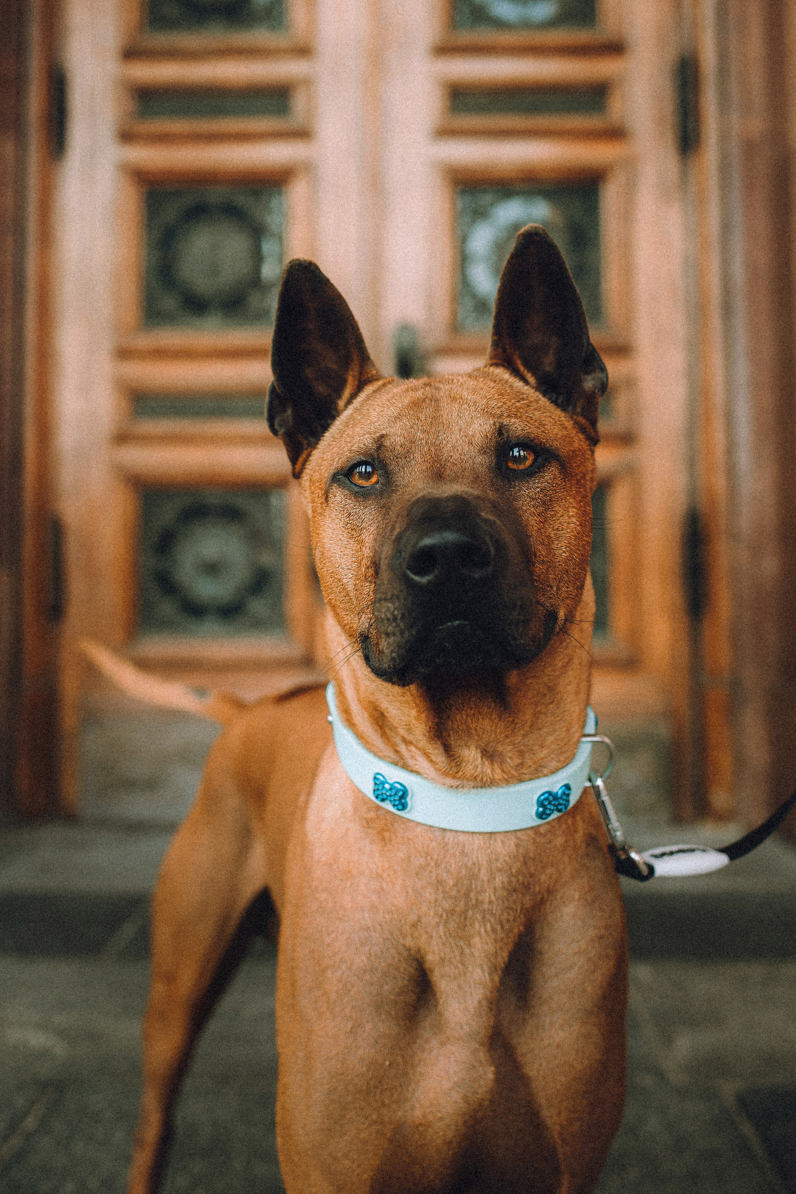 Оксана и Зевс