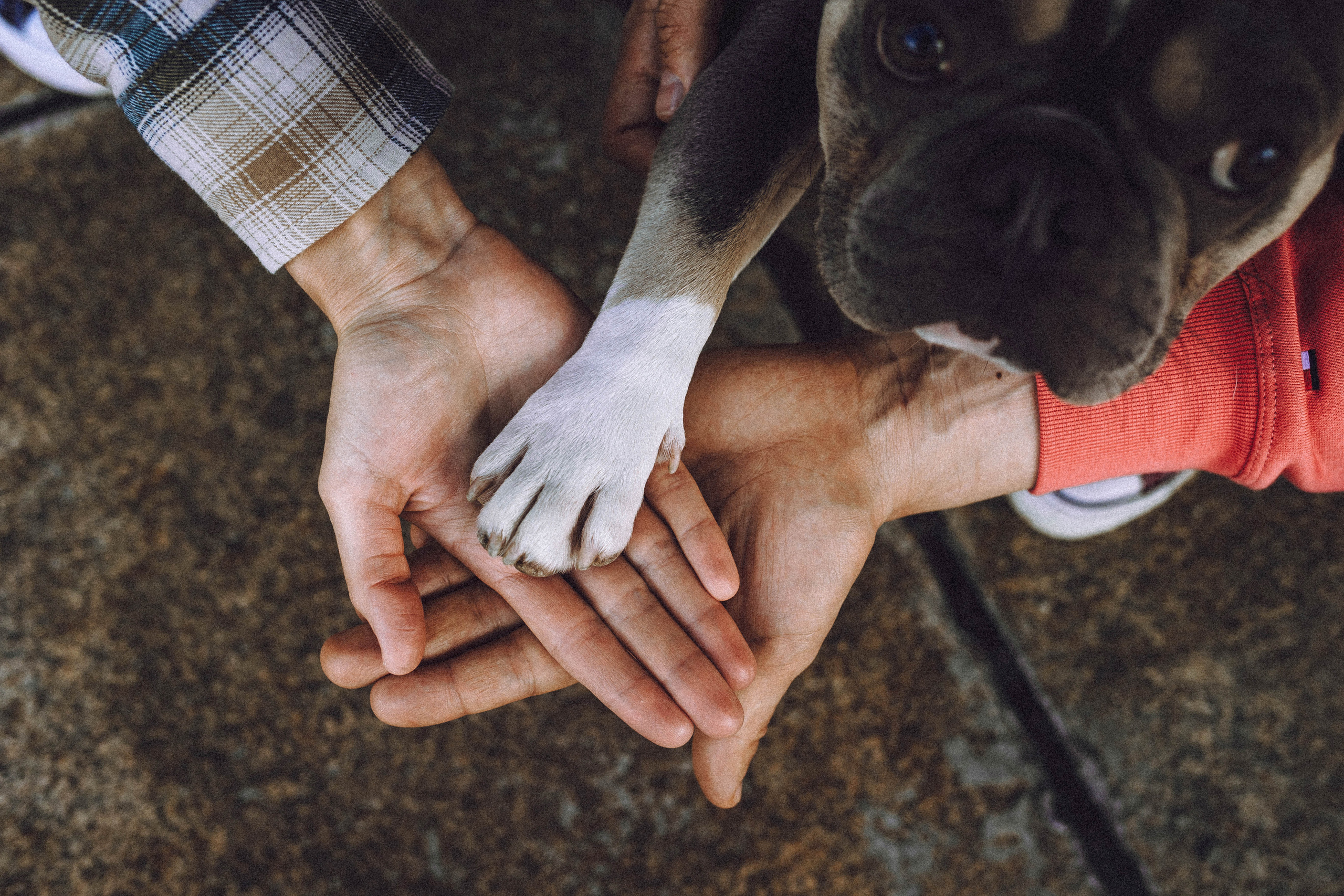 Регина, Сережа и Шелдон