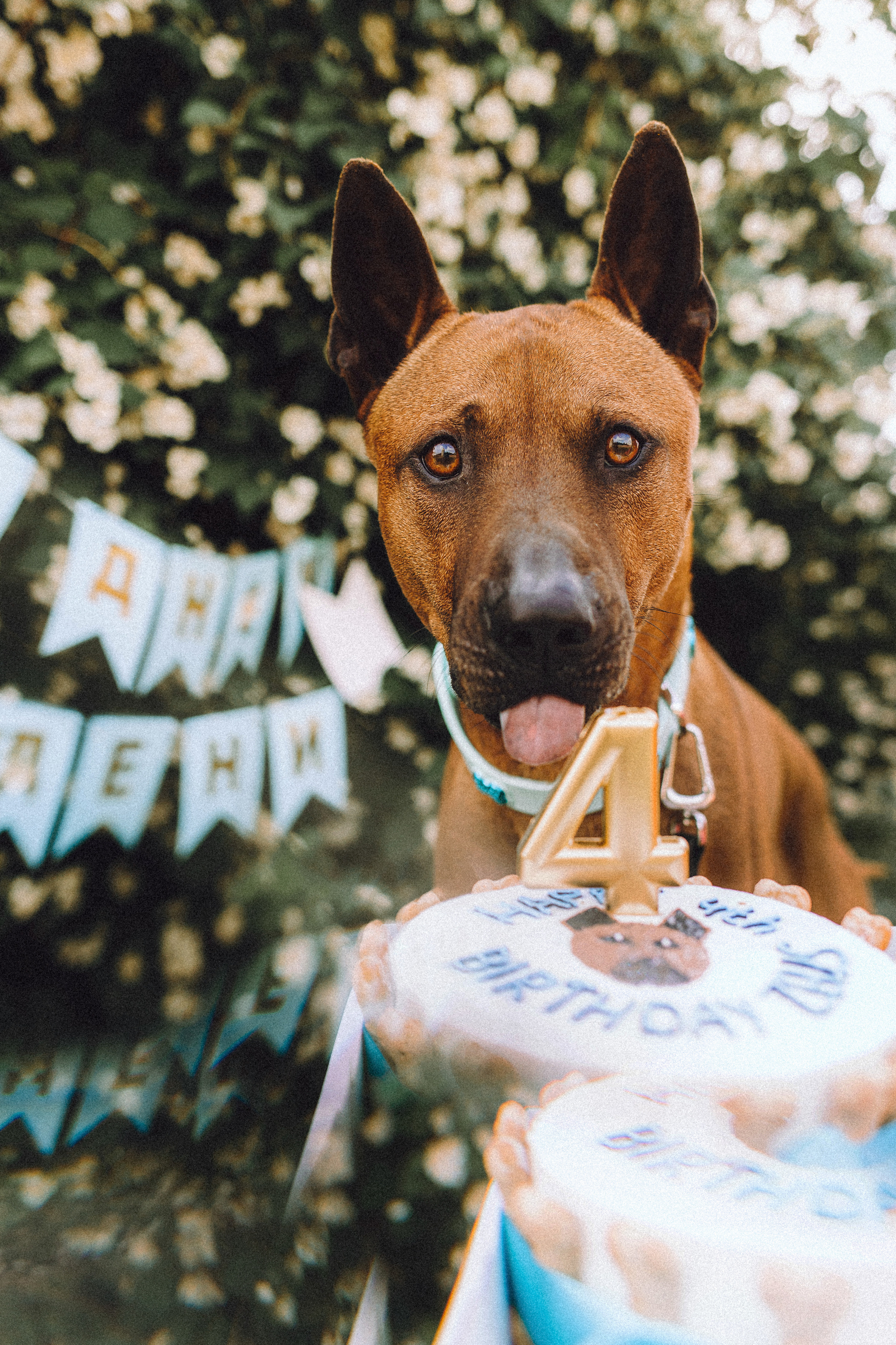 Оксана и Зевс